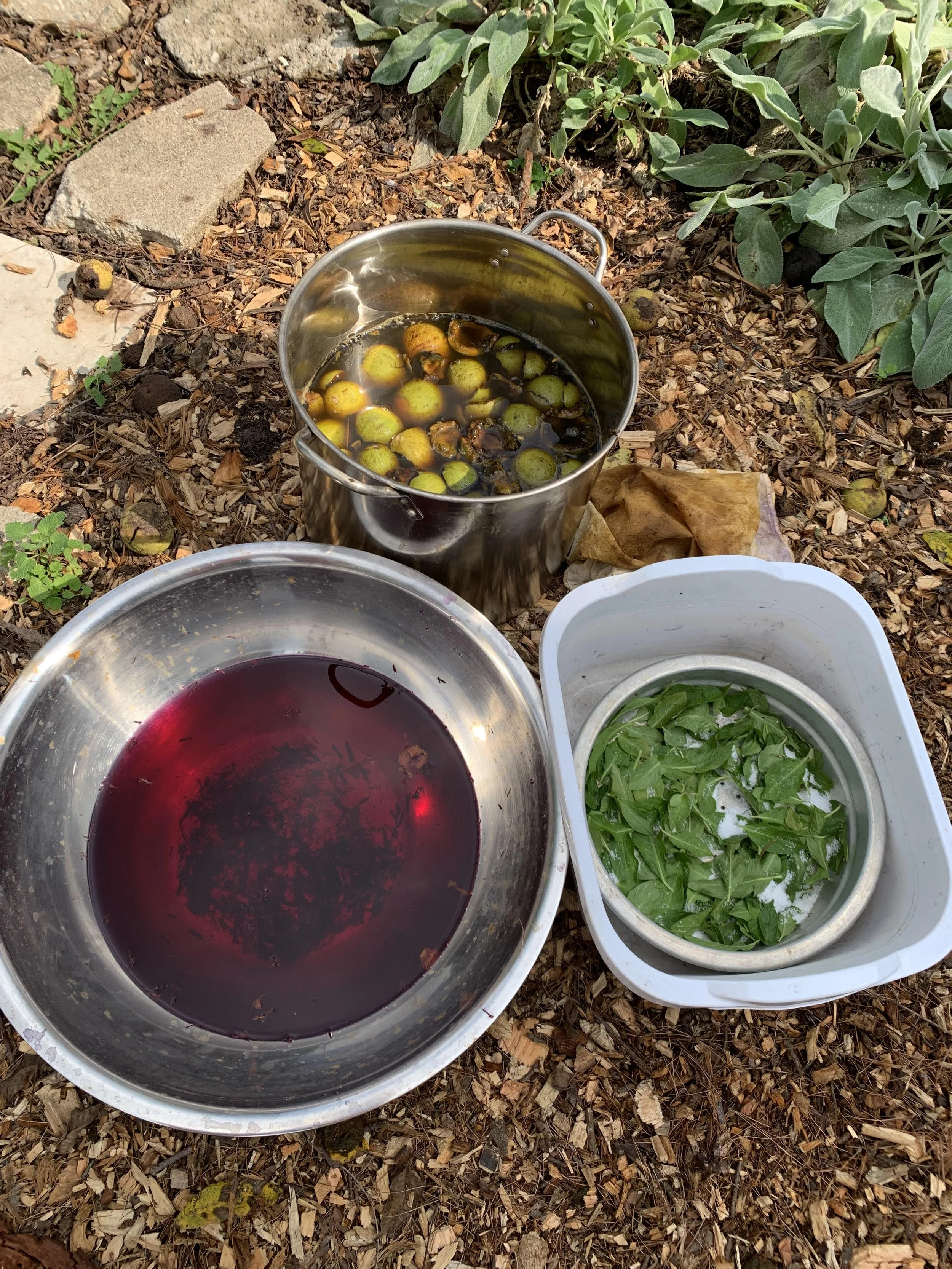 A trio of dye preparations
