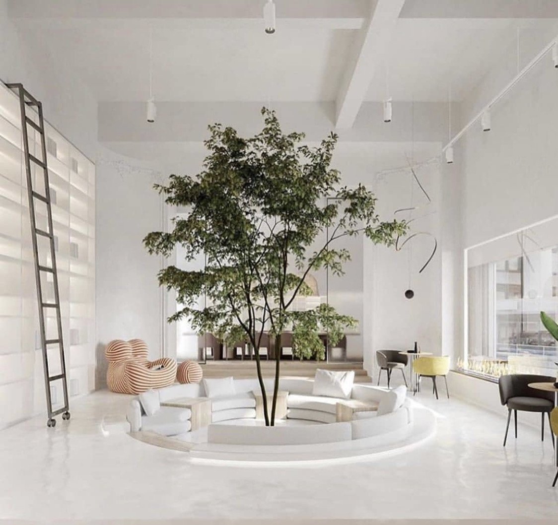 Make the greenery the focus of the room