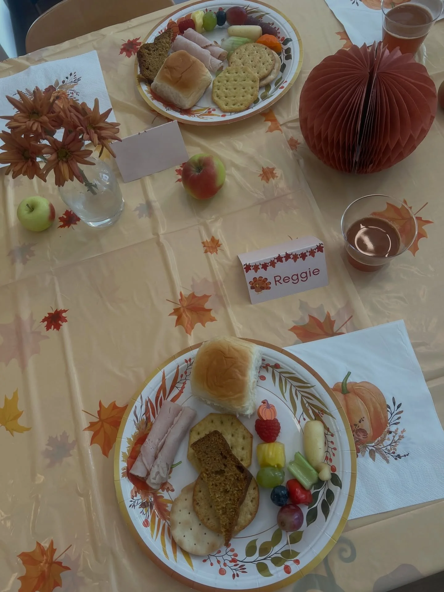 Peekadoodle Friendsgiving! Our school gathered together to express our gratitude for our school, our teachers, and one another. Every class worked to contribute to the feast by making fresh apple juice, pumpkin and banana bread, turkey, cracker and v