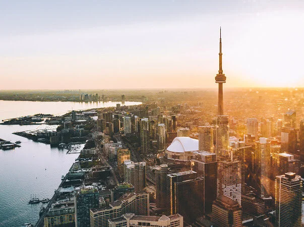 Launch of TWELVE Program - coming in January 2021