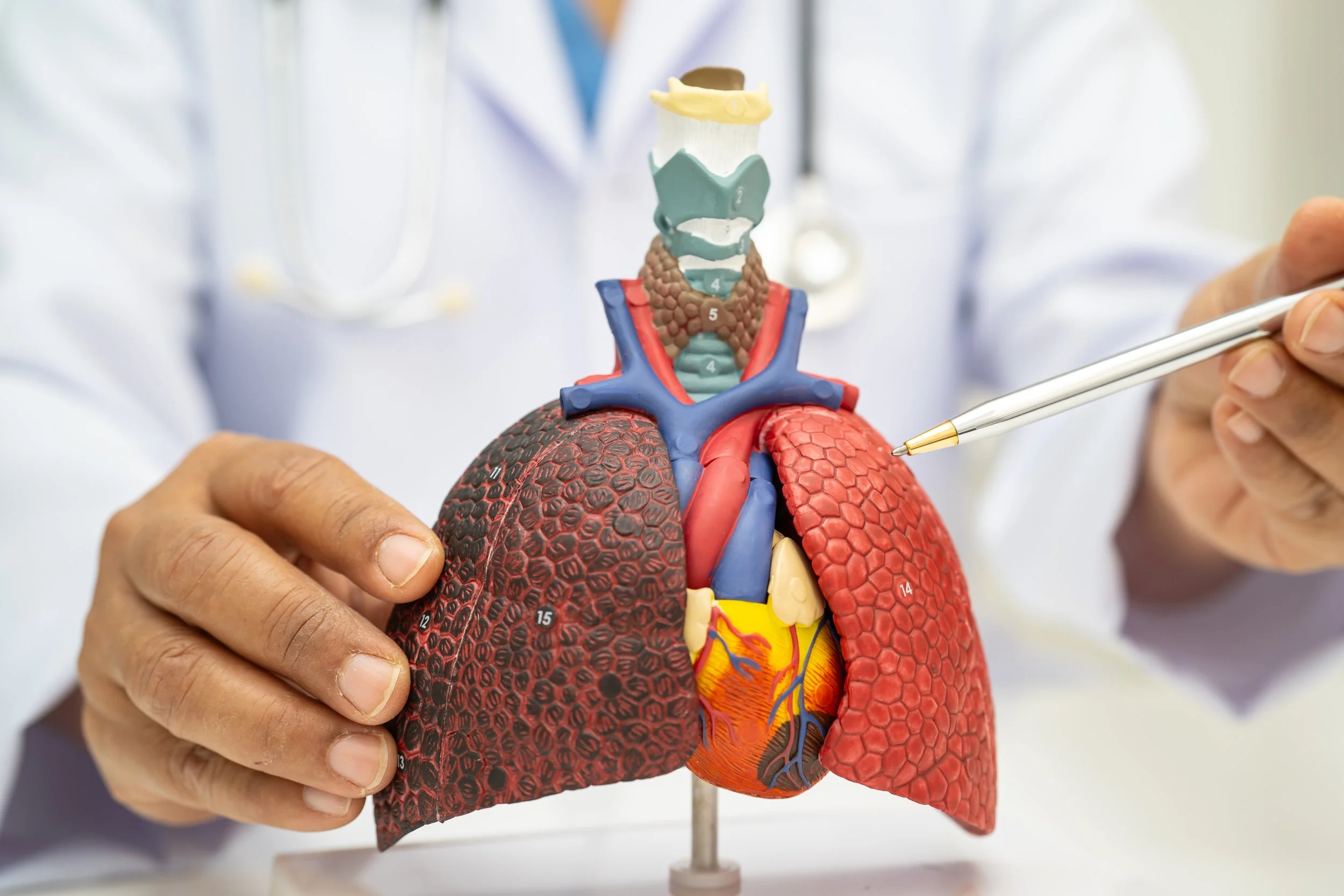 Como prevenir y como tratar la disnea en el paciente crítico que está en ventilación mecánica