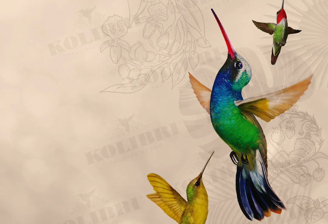 kolibri.jpg
