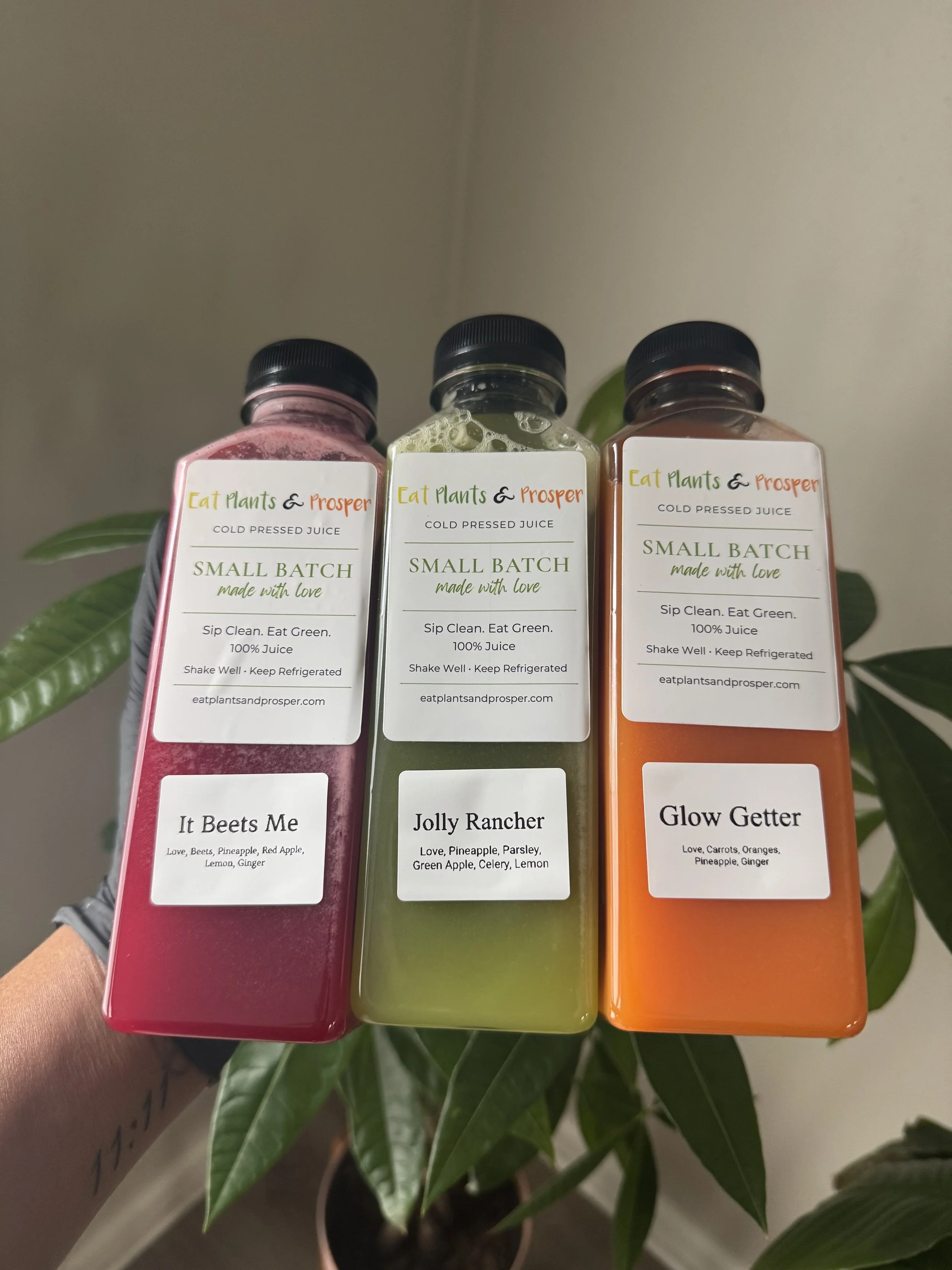 The Full Body Reset — Whole System Detox Bundle