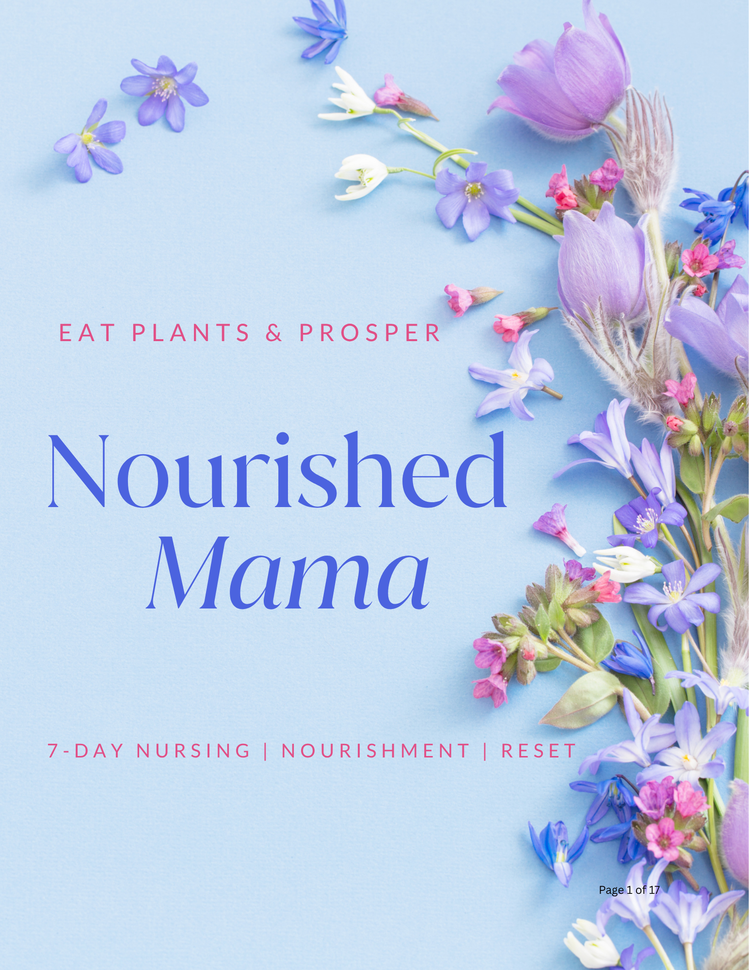 Nourished Mama: 7-Day Nursing Nourishment Reset