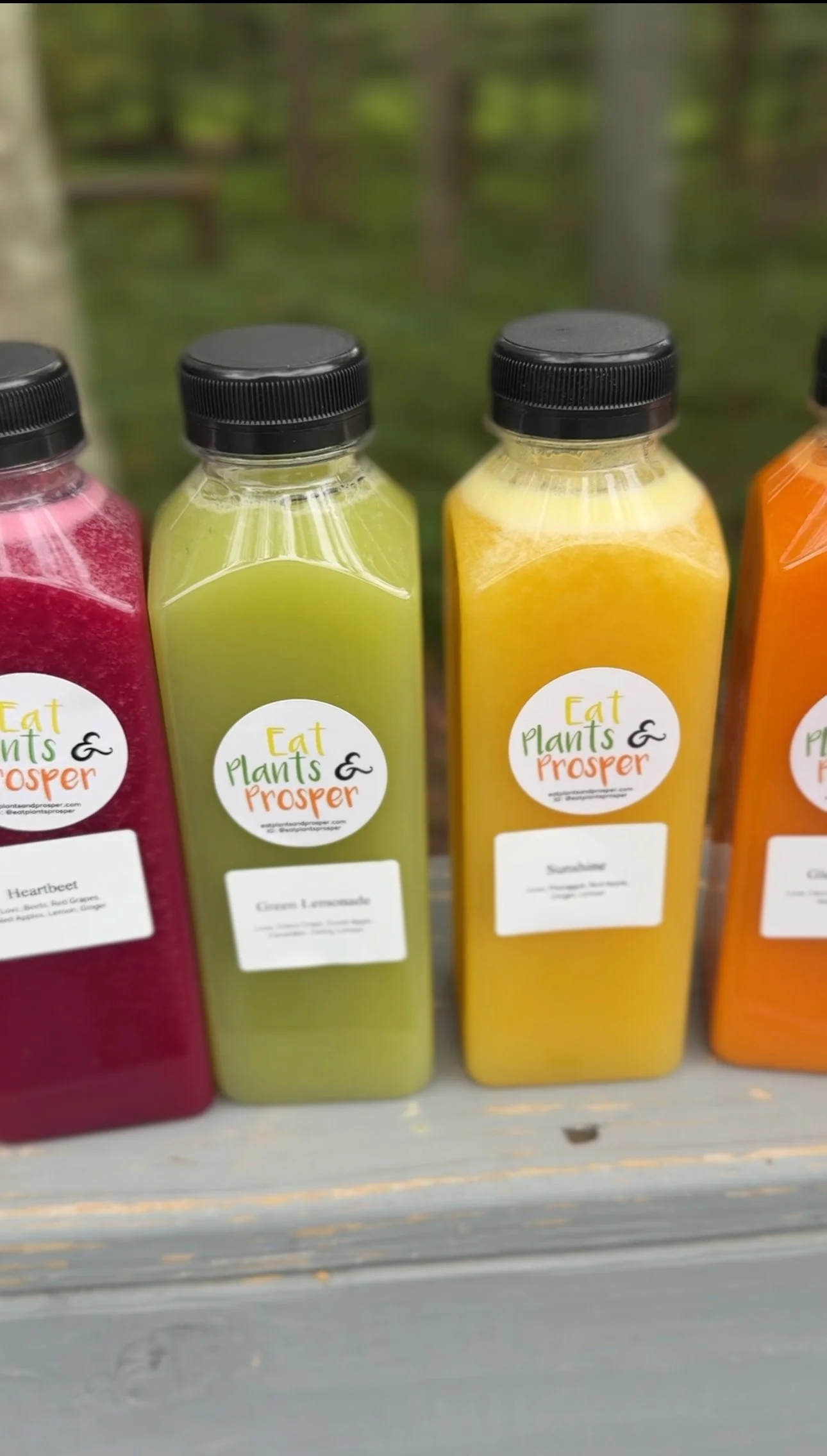 View recent photos 2.jpeg (Copy) (Copy) (Copy) (Copy)