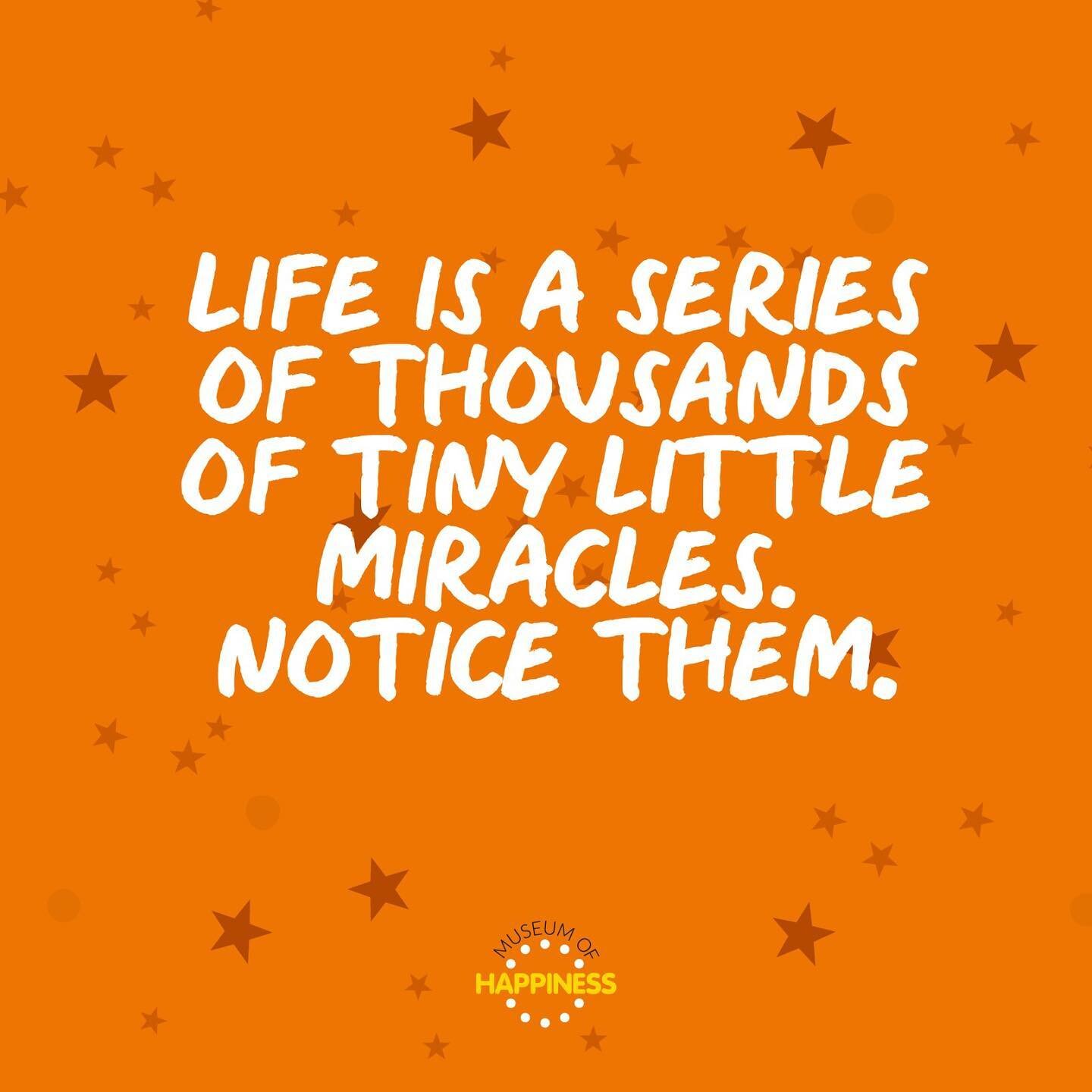 When we slow down and seek out the extraordinary in the ordinary&hellip; we can realise that life is a series of miracles 💫

You are a miracle, your body is a miracle, and this life is a miracle 💫