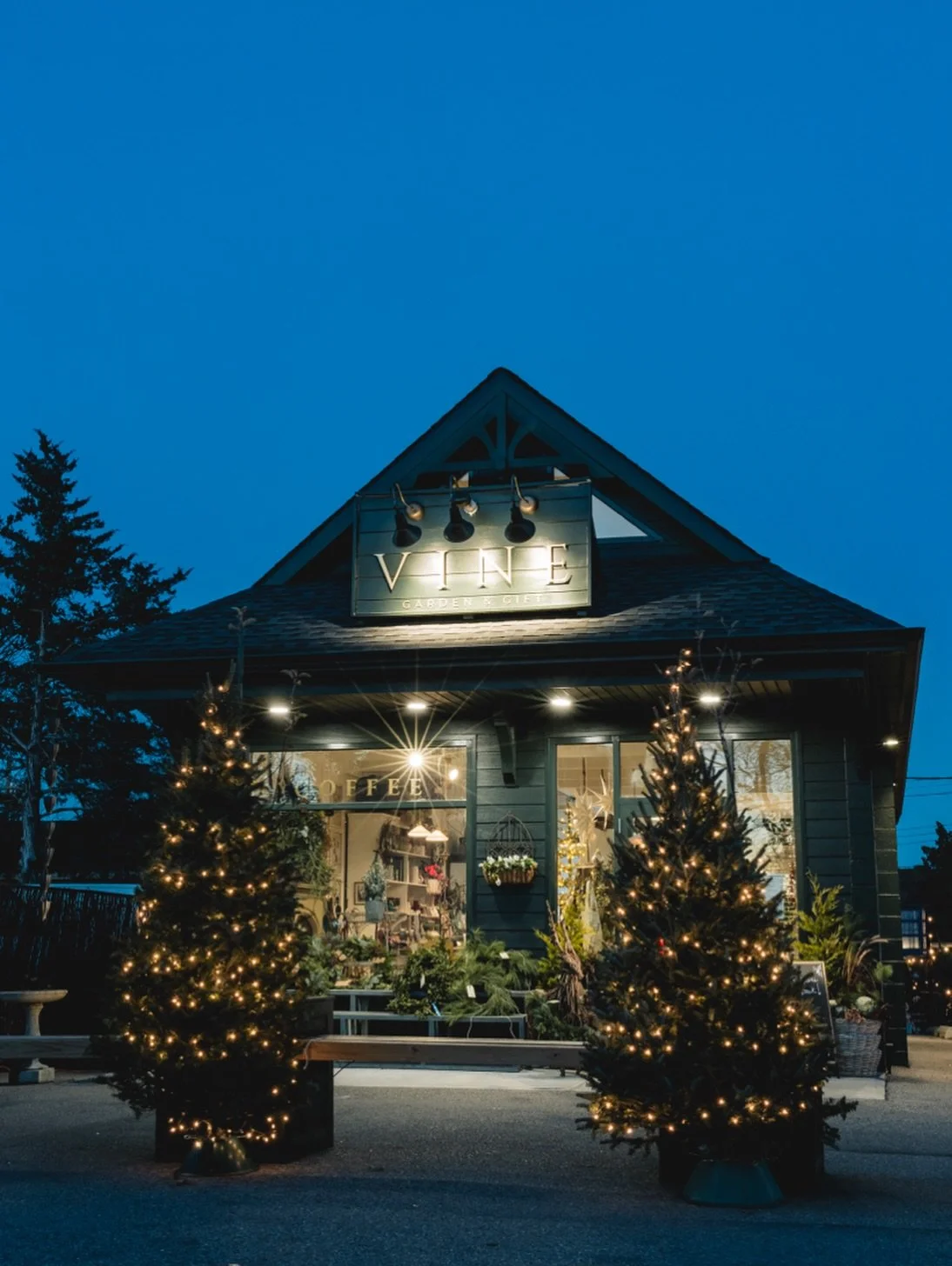 @shopvine.nj all dressed up for the holidays