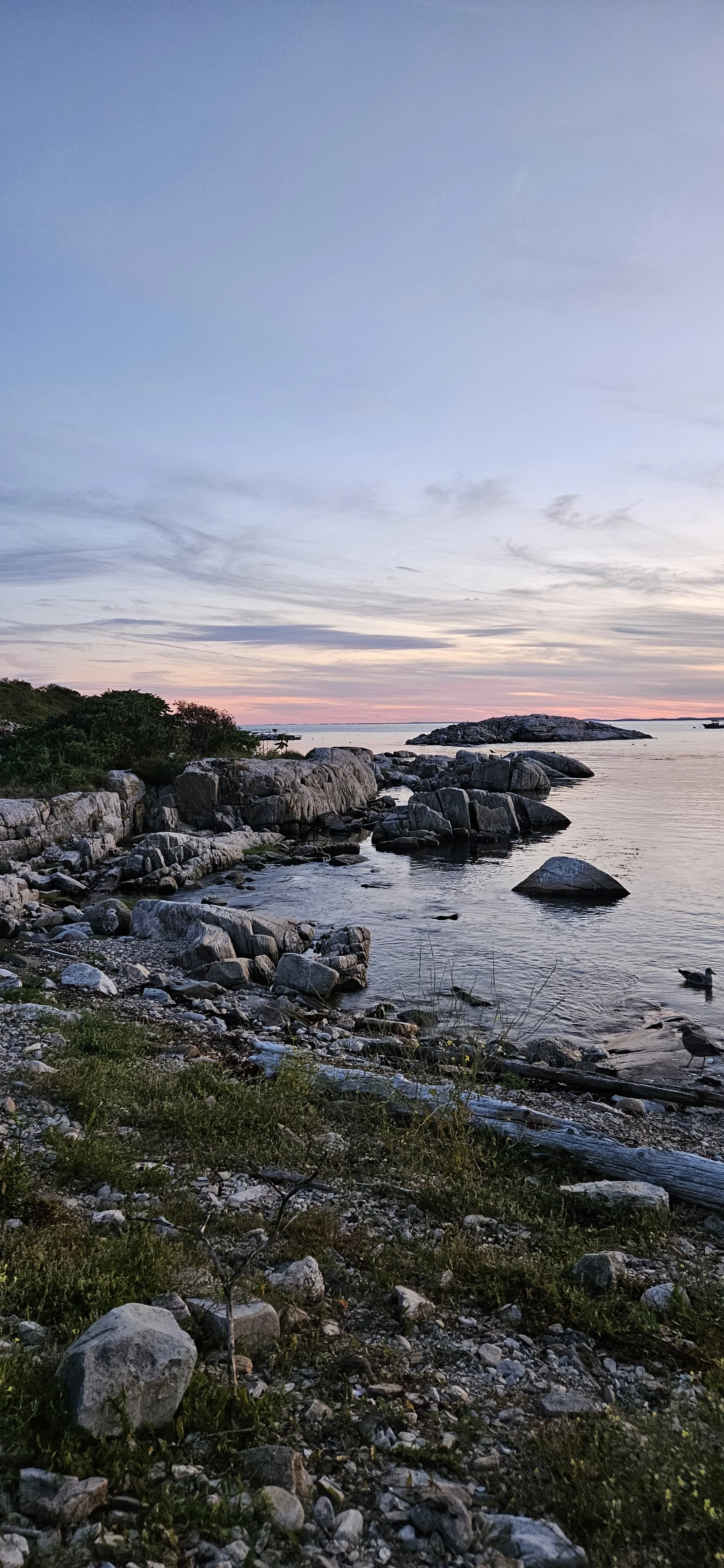 Love letter to the places that make us human