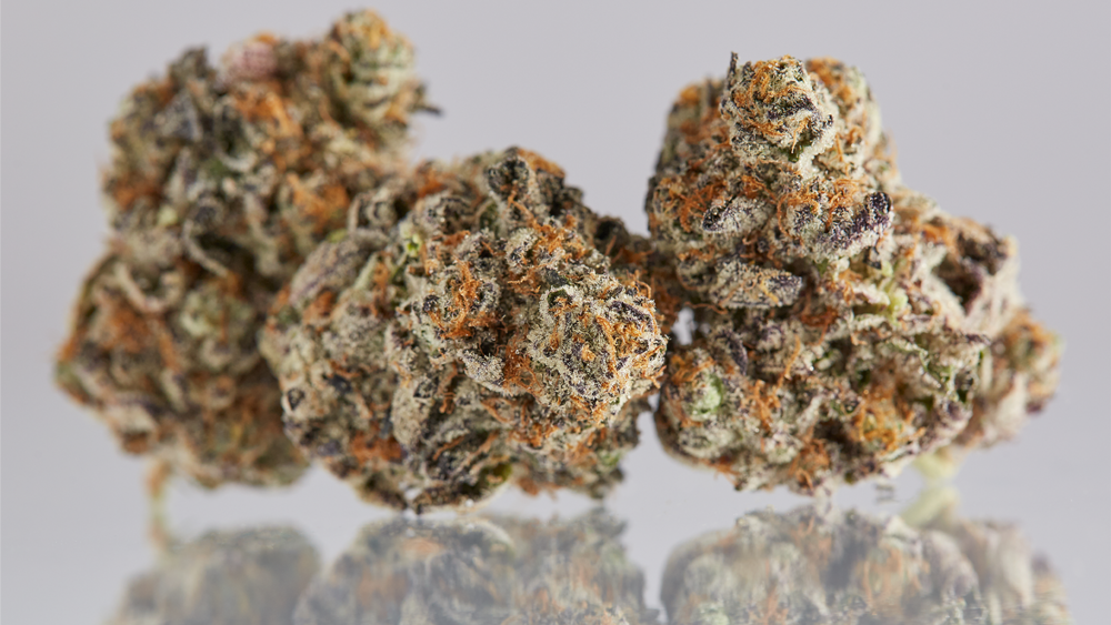 Cannabis Dictionary: Flower — Northern Light Cannabis Co.