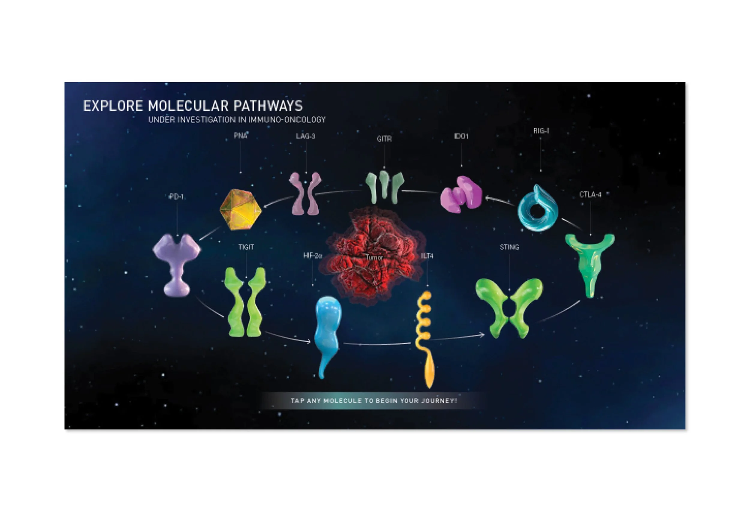 New Molecule Engagement Tool