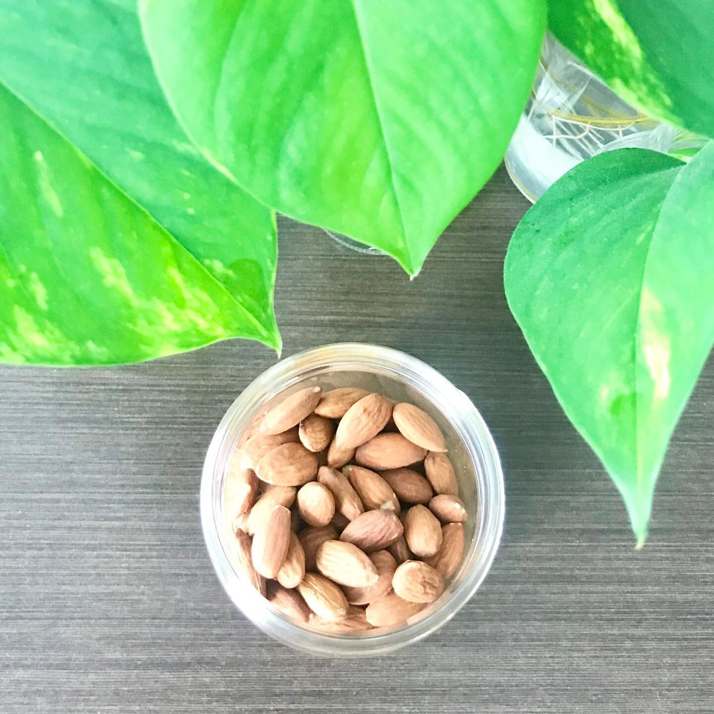 Are you stocked up on some almonds? Keeping a stash of almonds in your home is a game changer. These nutrient rich nuts are a pantry staple. Get your almond fix this weekend! Catch us at the farmers market 🌱 or on the web. We ship! 📦