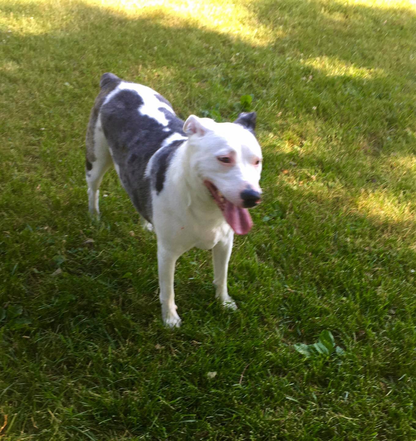 zoey.jpg
