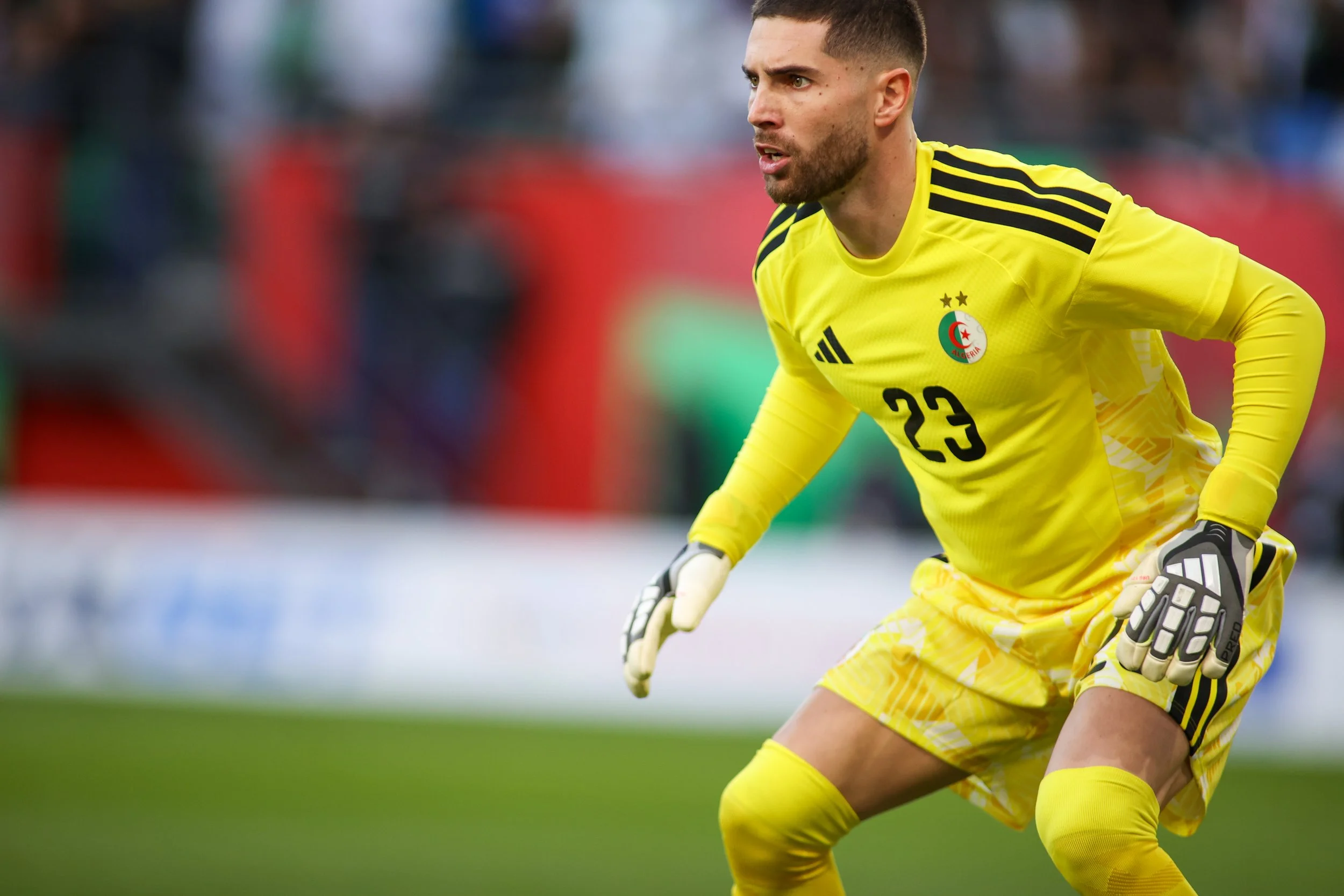 tobytandefoto_Algeria v DR Congo_231422t.jpg