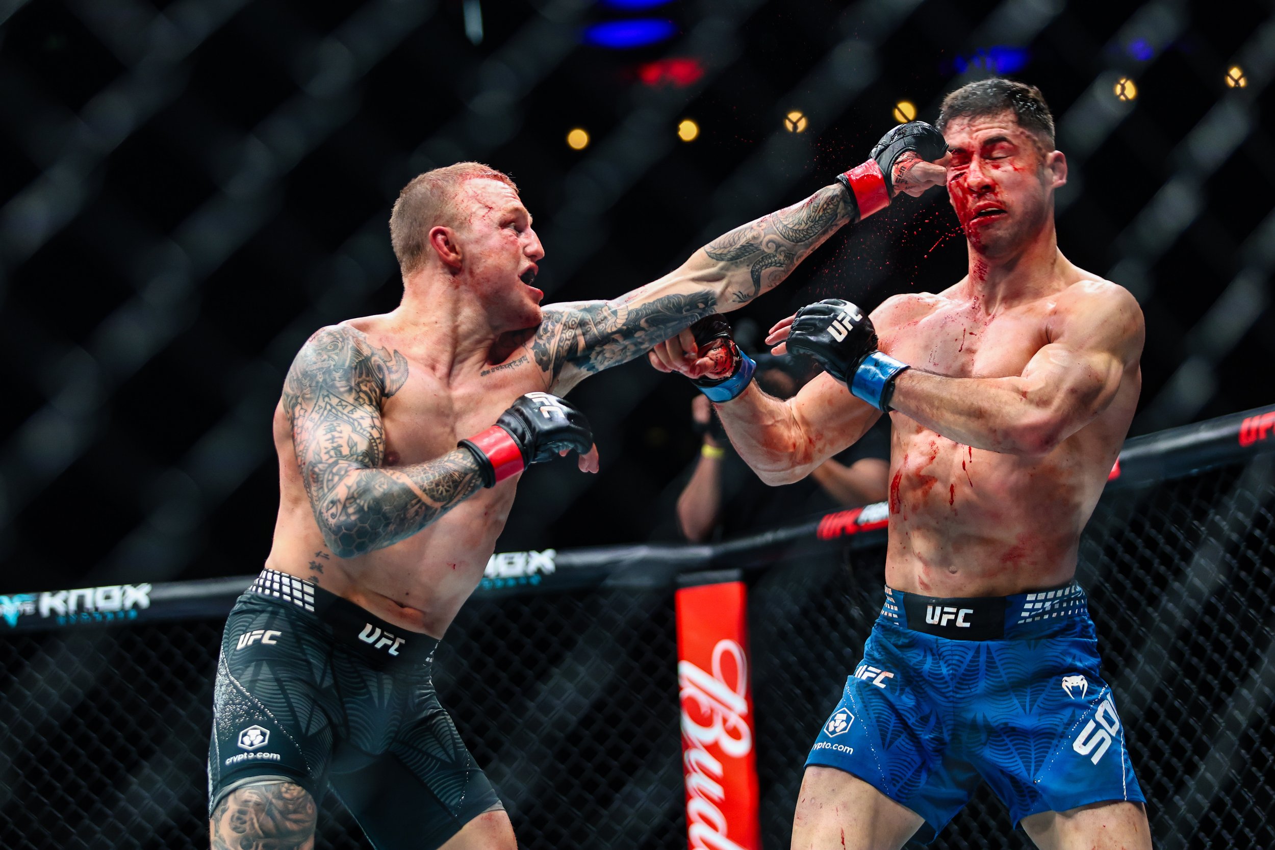 Octagon-side at UFC Fight Night in London