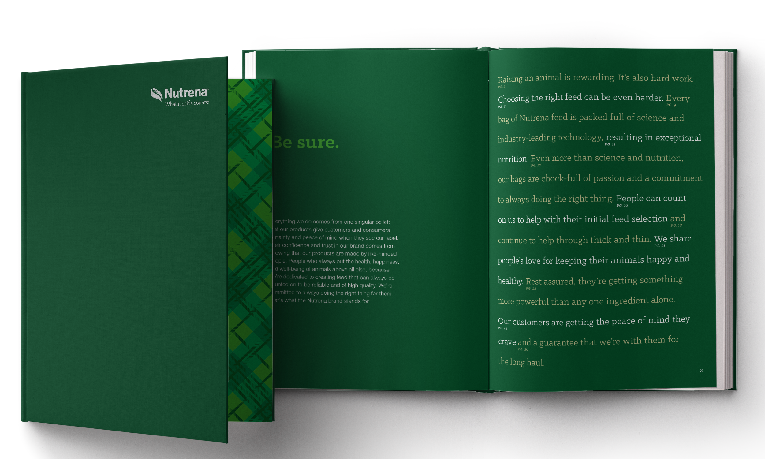 brandbook1.png