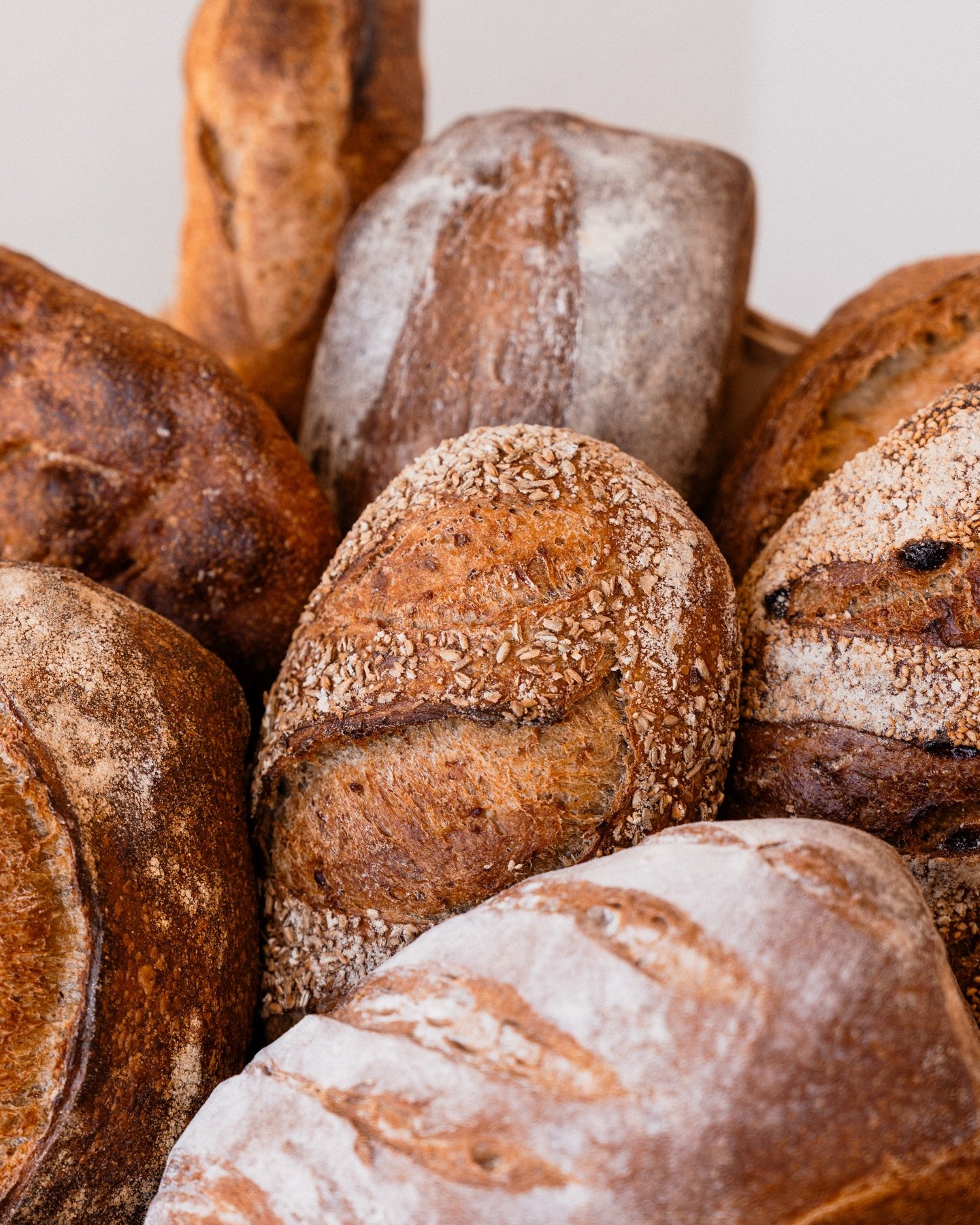 bread day is the best day 🍞⭐️ what's your favorite Nana's loaf? 

whether your a classic country loaf kinda guy or a daring cheddar focaccia fan, we have fresh baked sourdough bread just for you ;) available Wednesday-Sunday!

our favorite? we can't