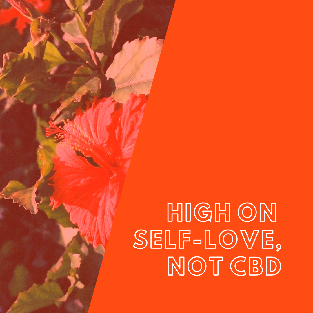 hibiscus.png