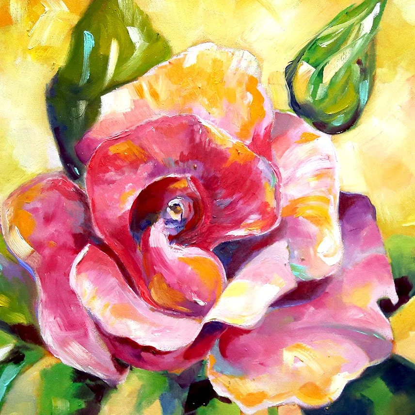 Iris Rose First Pink Rose in bright Sunlight closeup 1