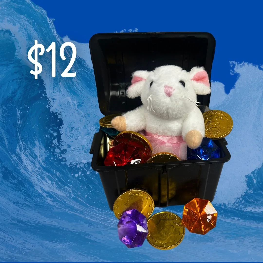Bedazzled Treasure Box with Plush Ballerina Mouse