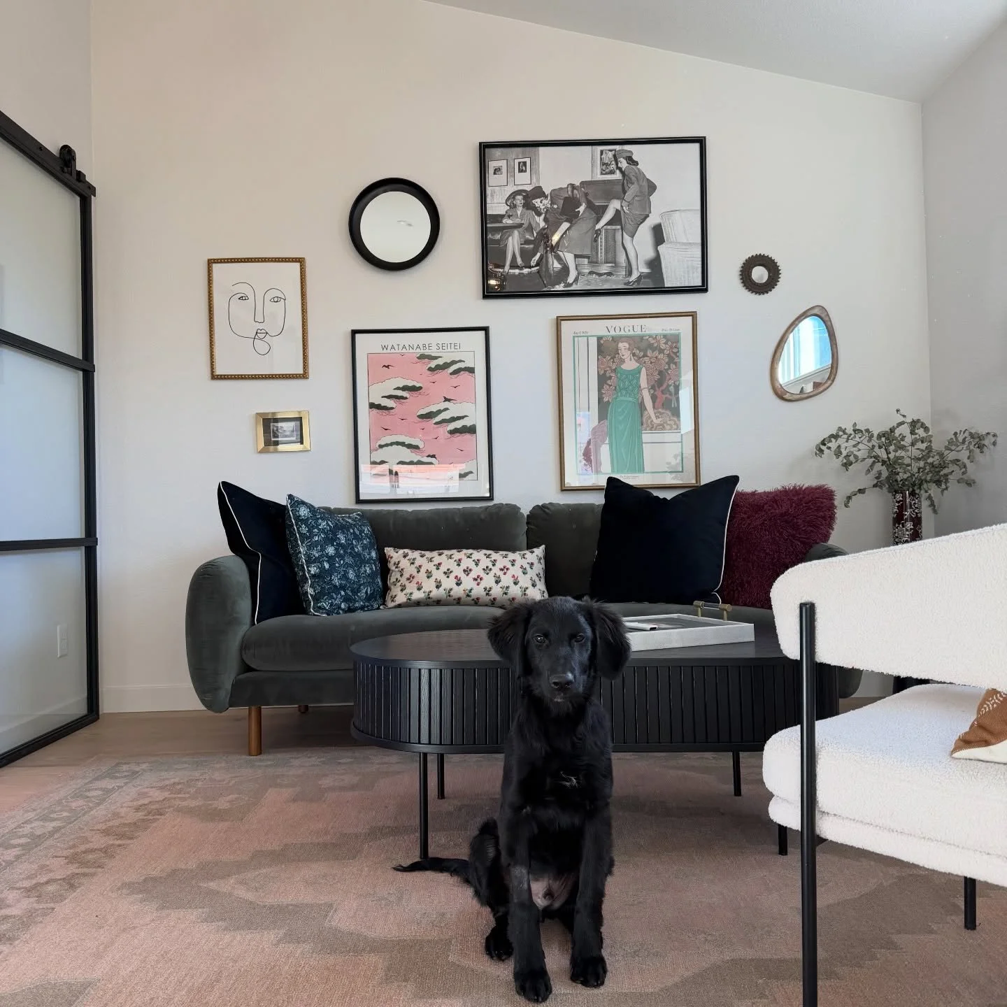 Meet the newest member of the Bold Story team, Zuma 💕.