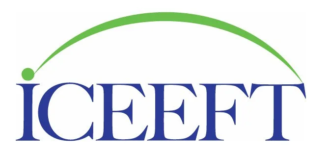 ICE EFT logo
