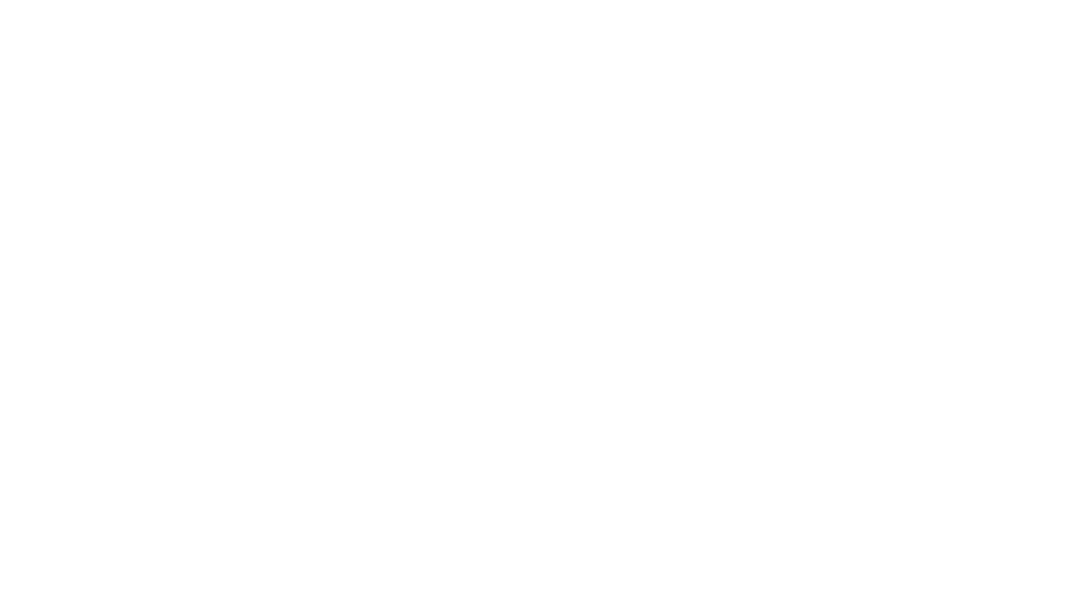 Genius17