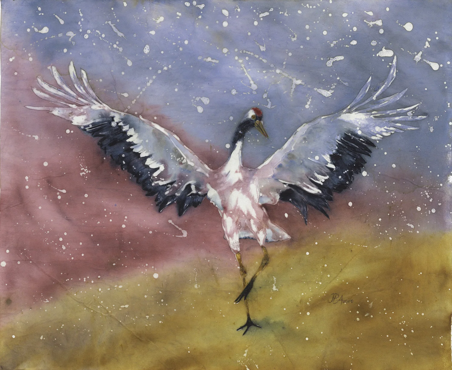 White Crane Spreads Wings