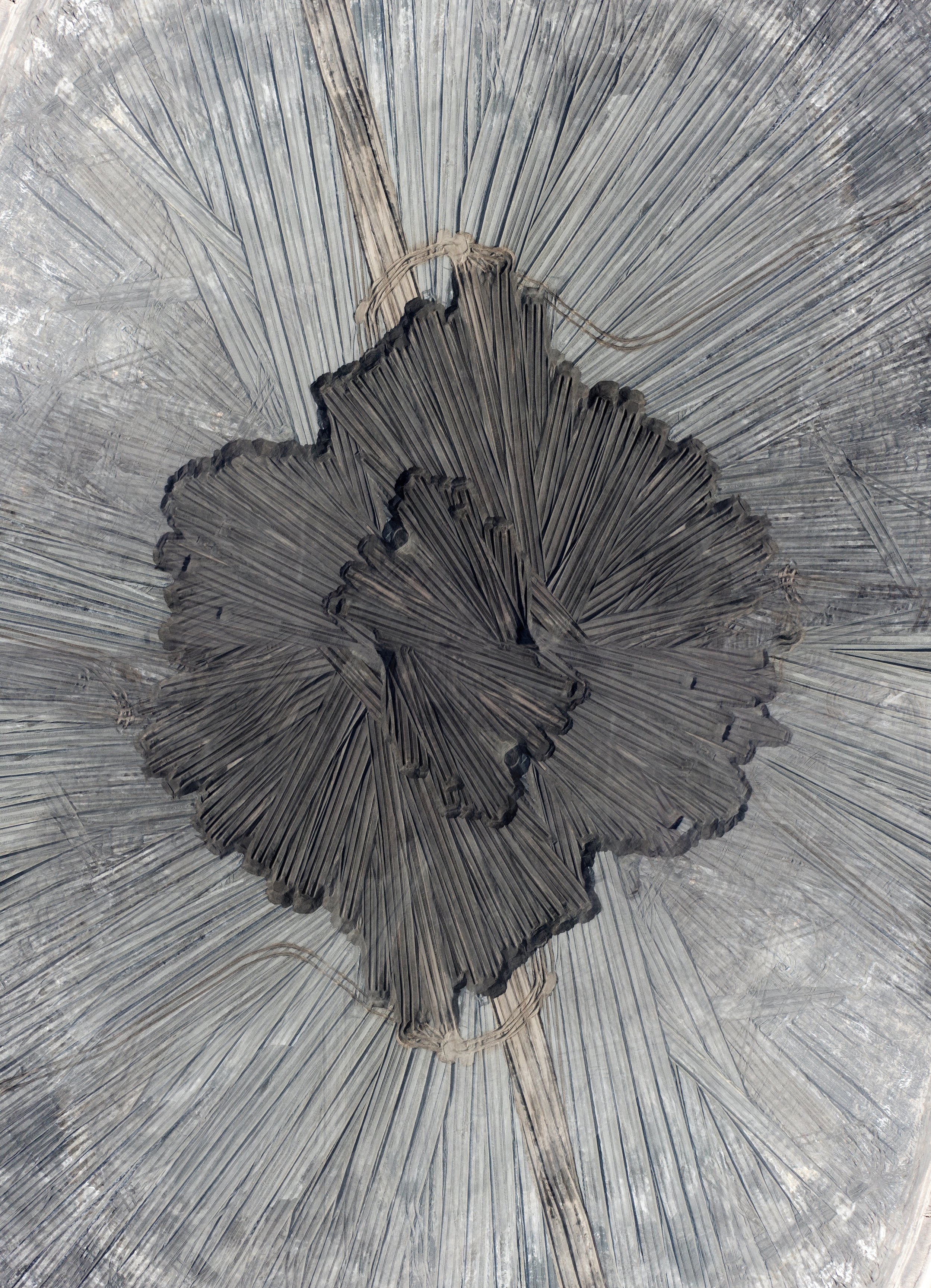 Cholla Coal