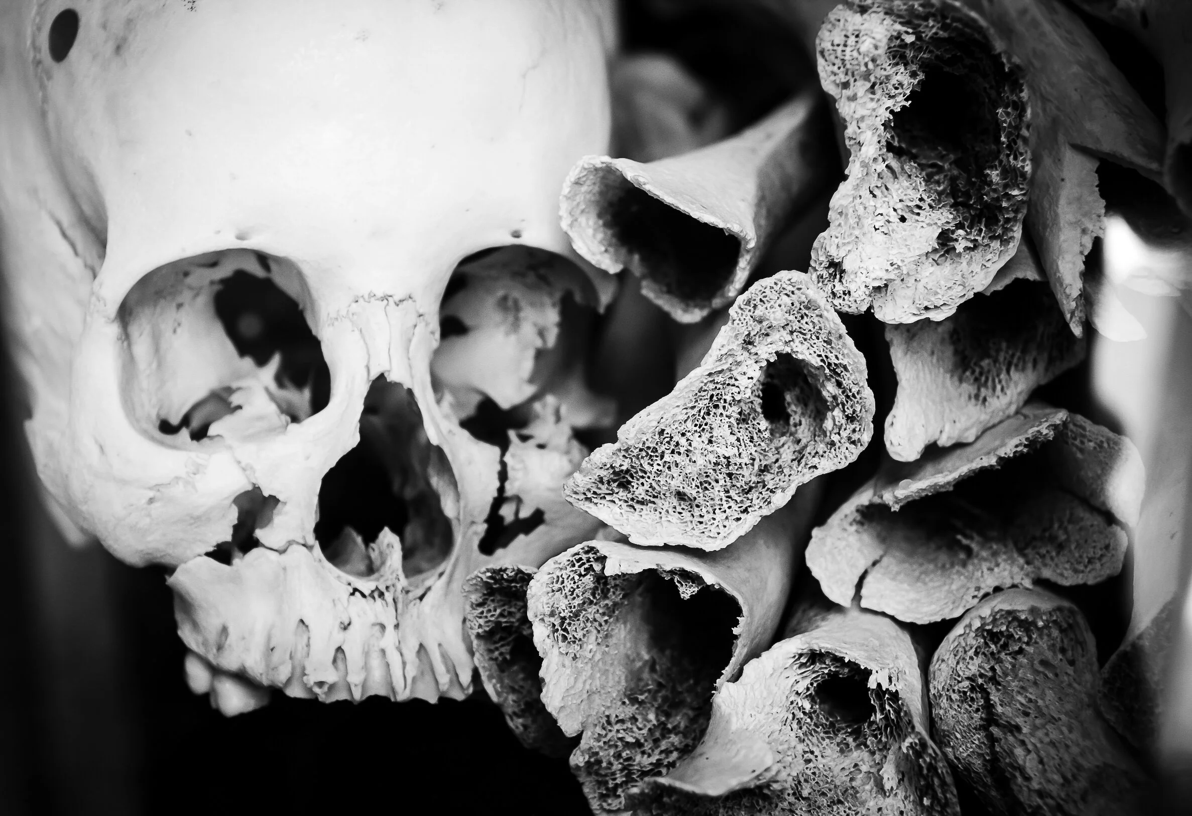 HumanRemains04.jpg