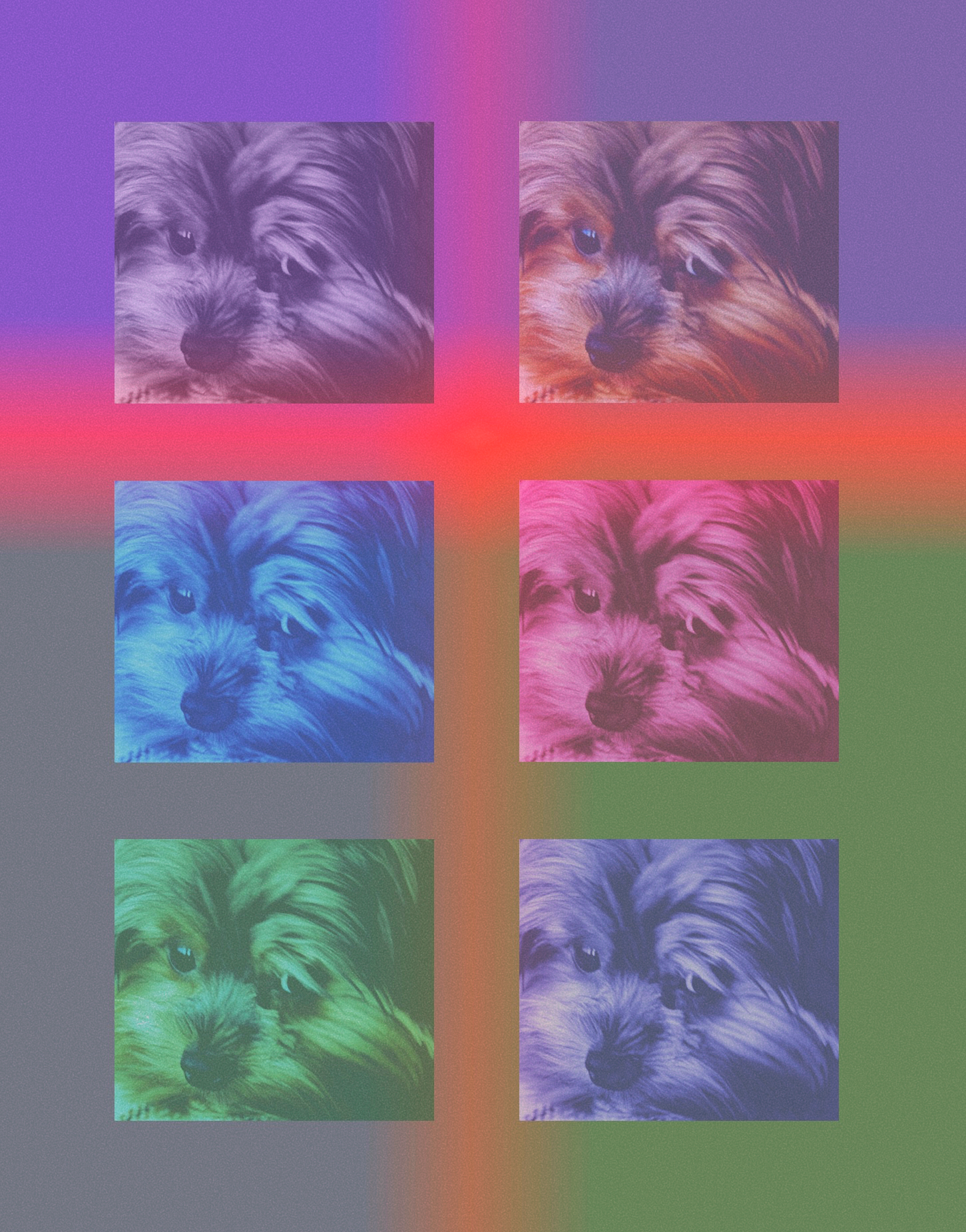 IMG_2657 2.png