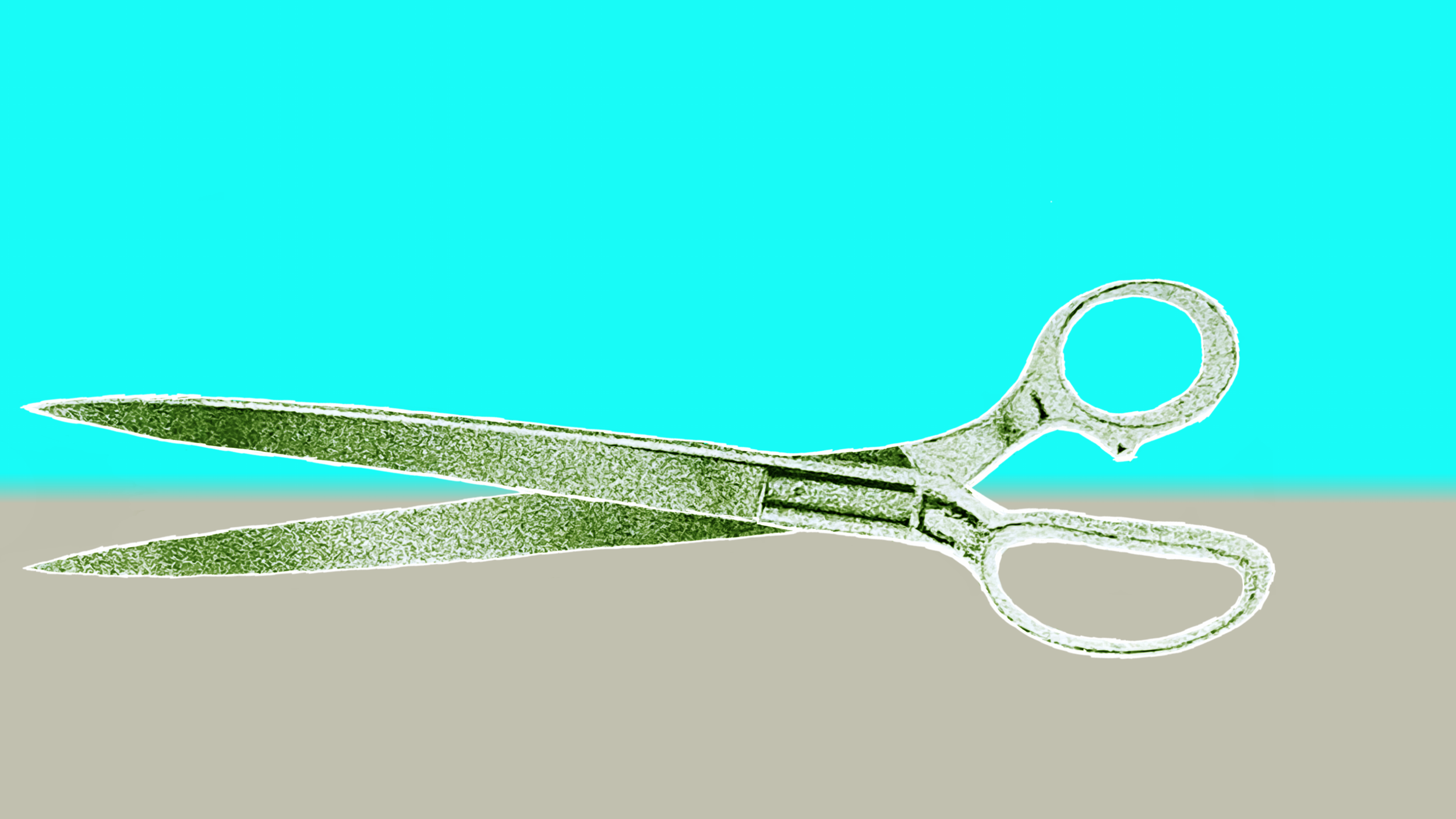 scissors_inverted 2.png