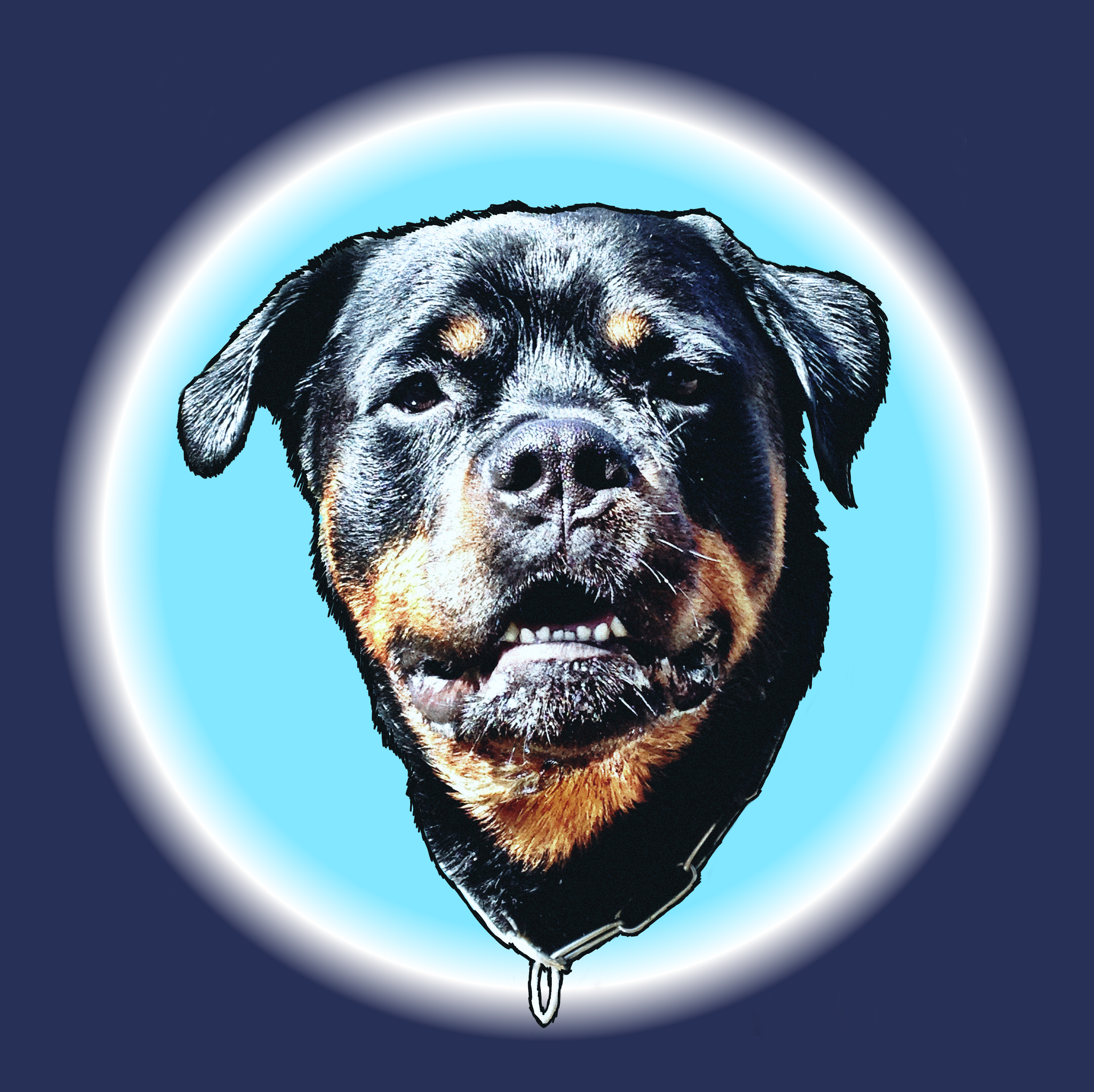 Cam_dog_wheeler.png