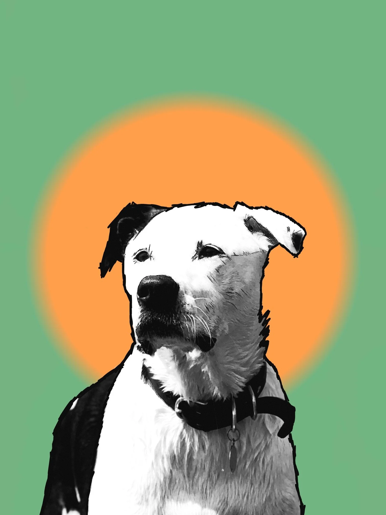 serif_green_orange_circle.jpeg