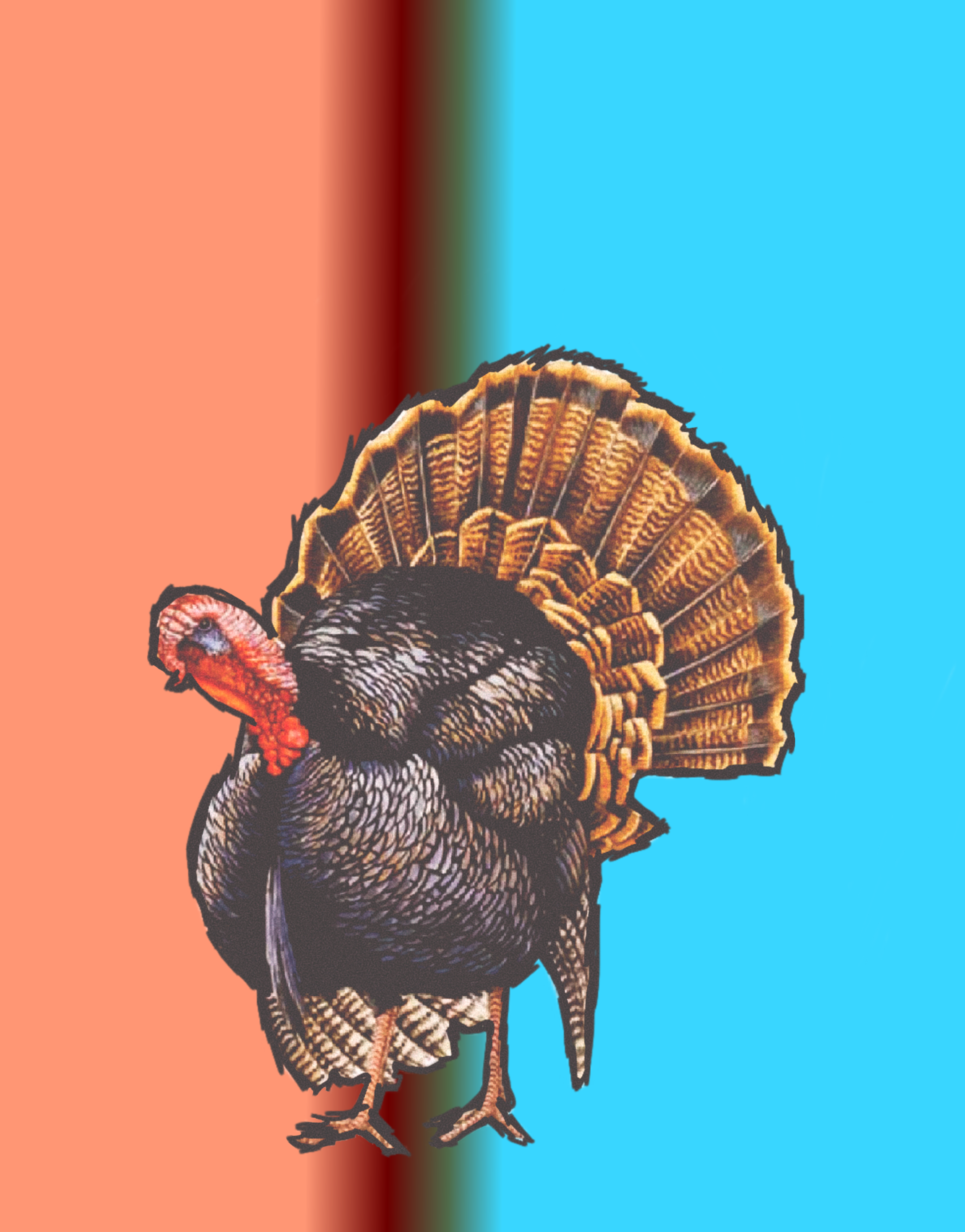 Image 126.png