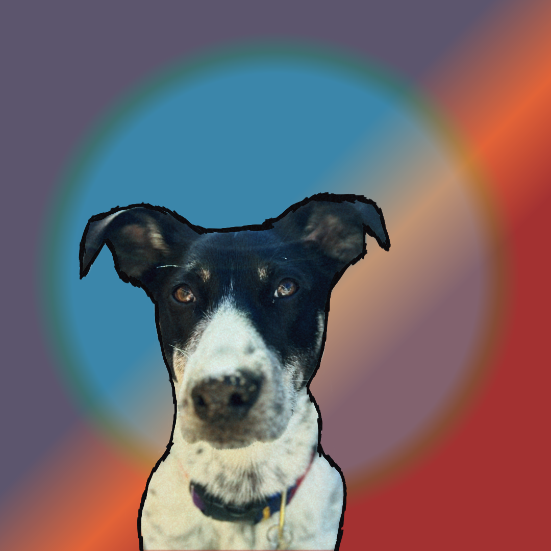 IMG_9354.png