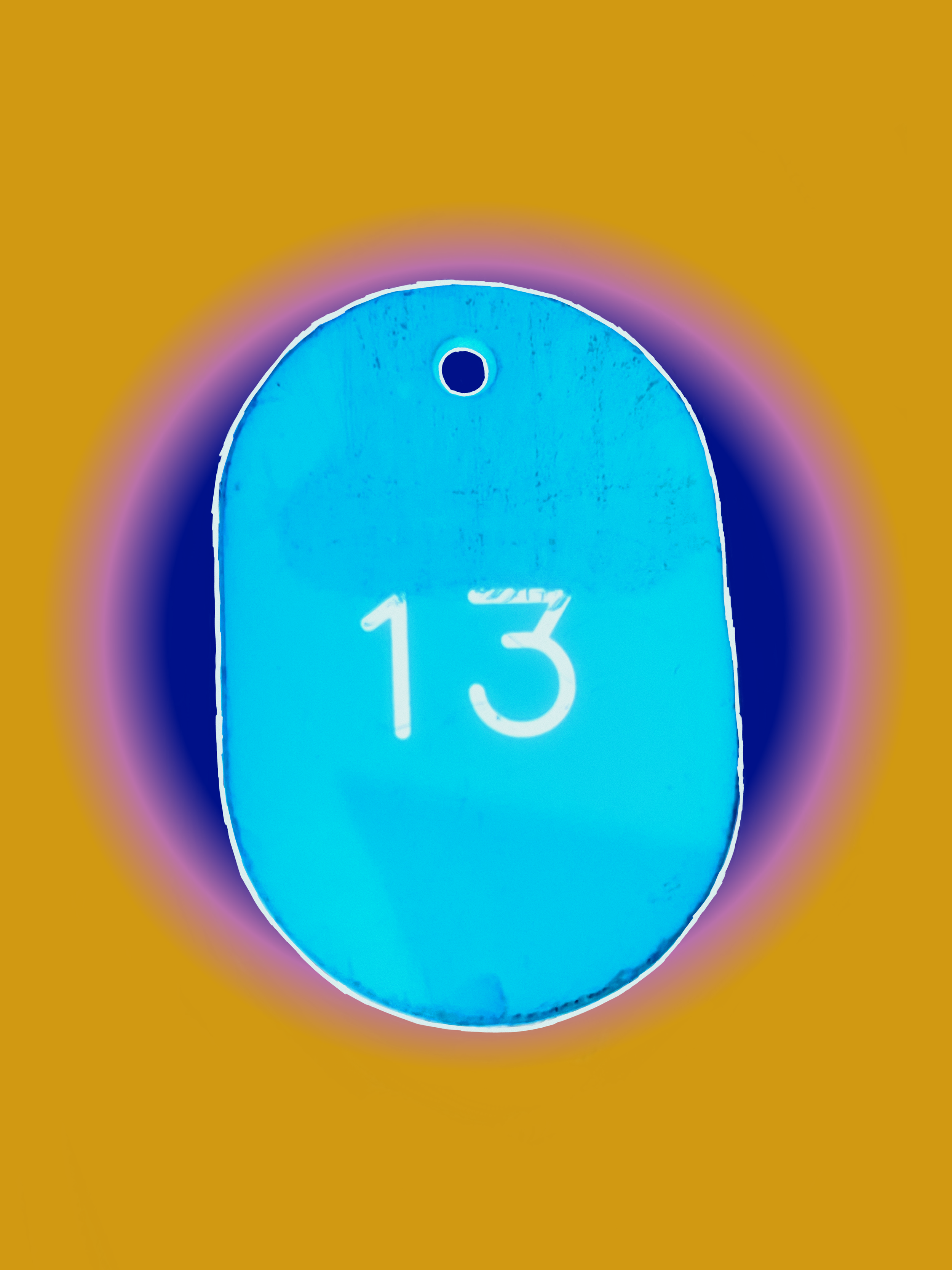 IMG_2740.png