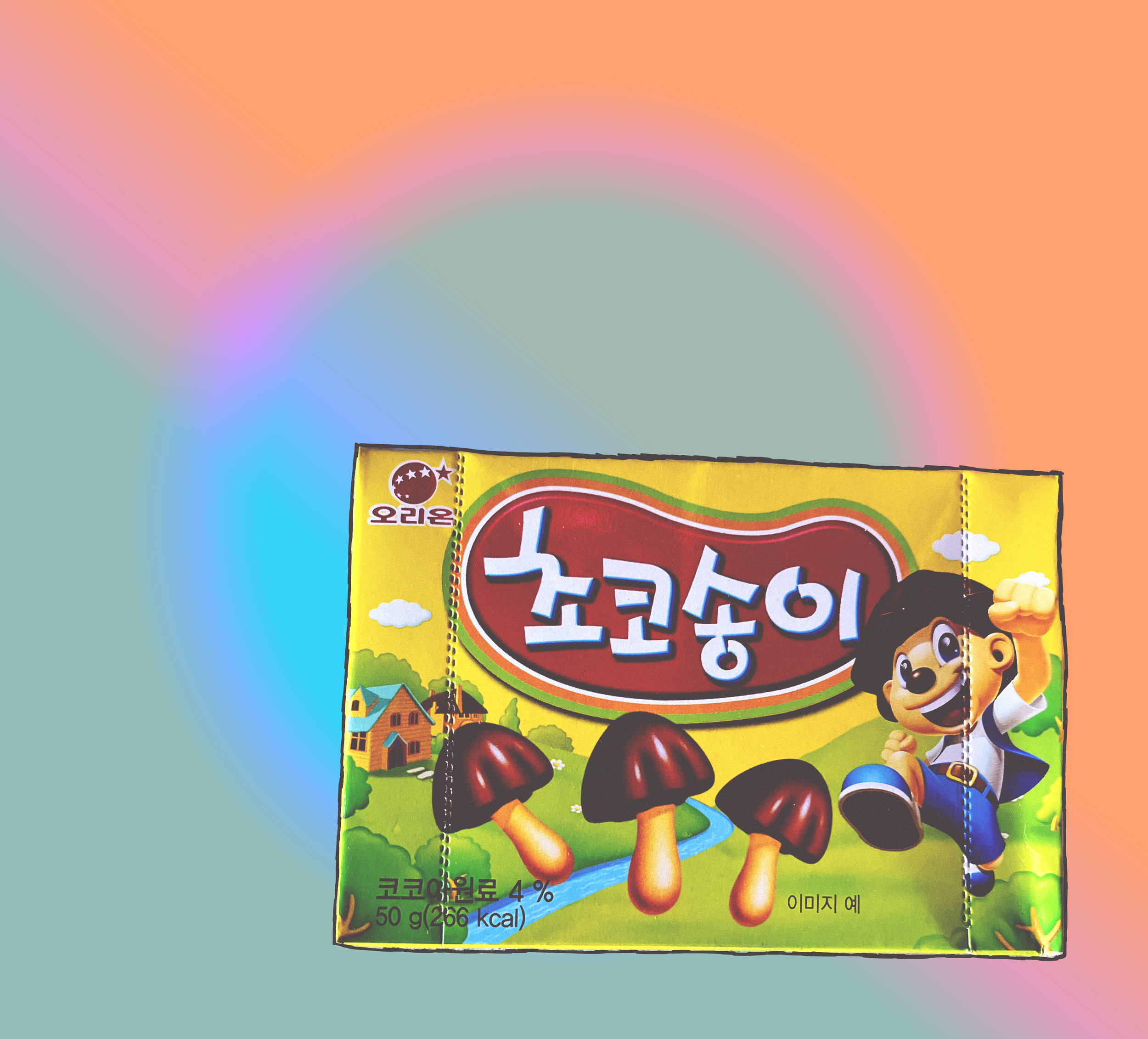 korean_mushroom_chocolates.png