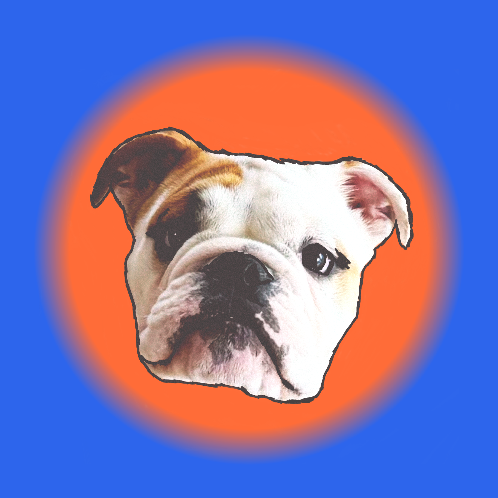 Biscuit_1st_portrait.png