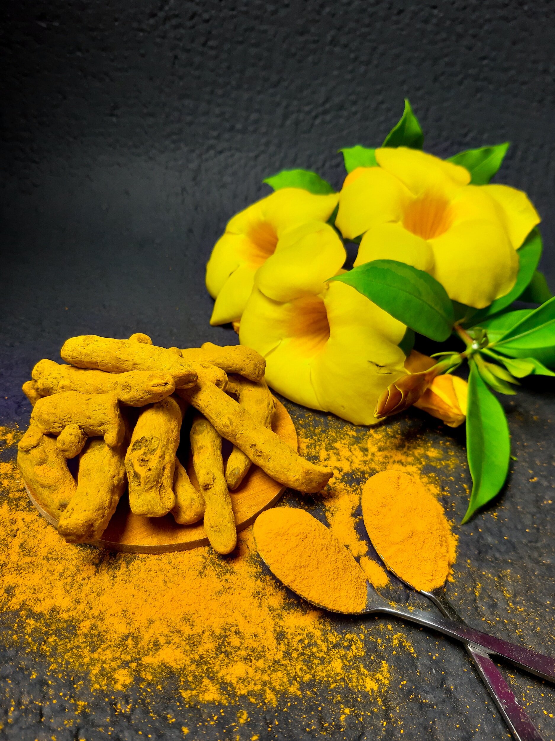 Stress, Immunity, and Diet