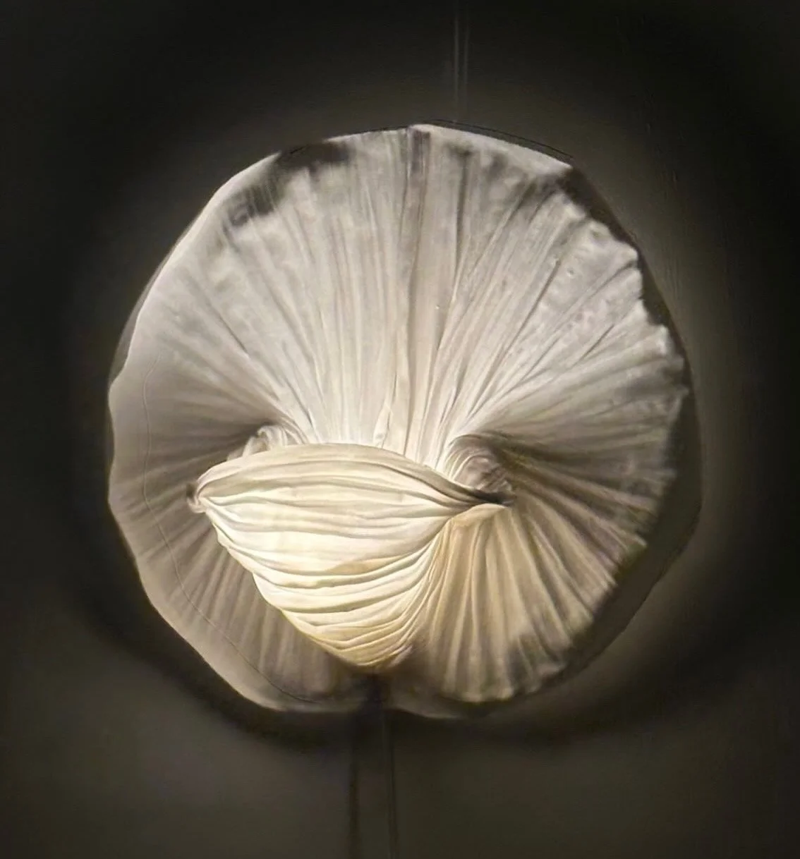 Chalice 2025 cotton canvas, sculpting medium 14%22x14%22x7%22 03.jpg