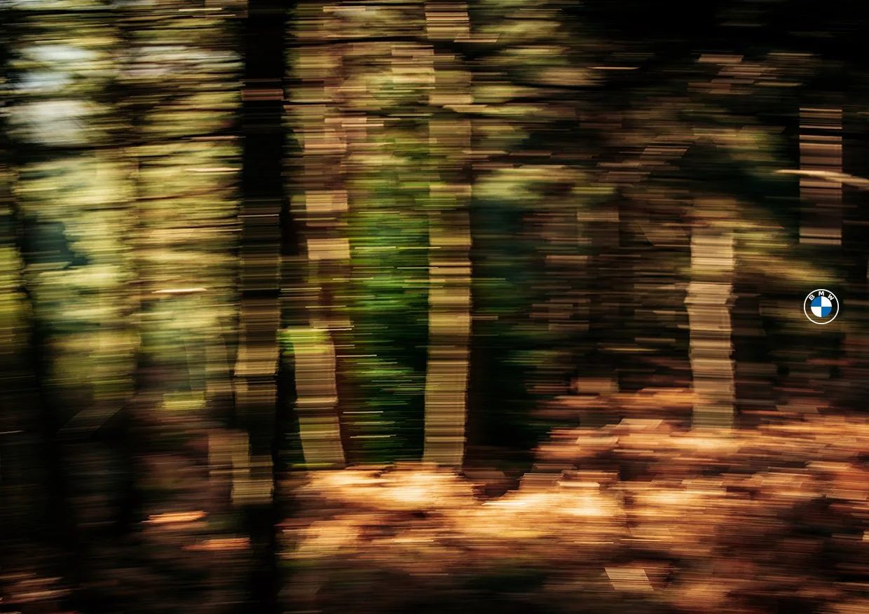 20260115_MovingLandscapes_4.jpg