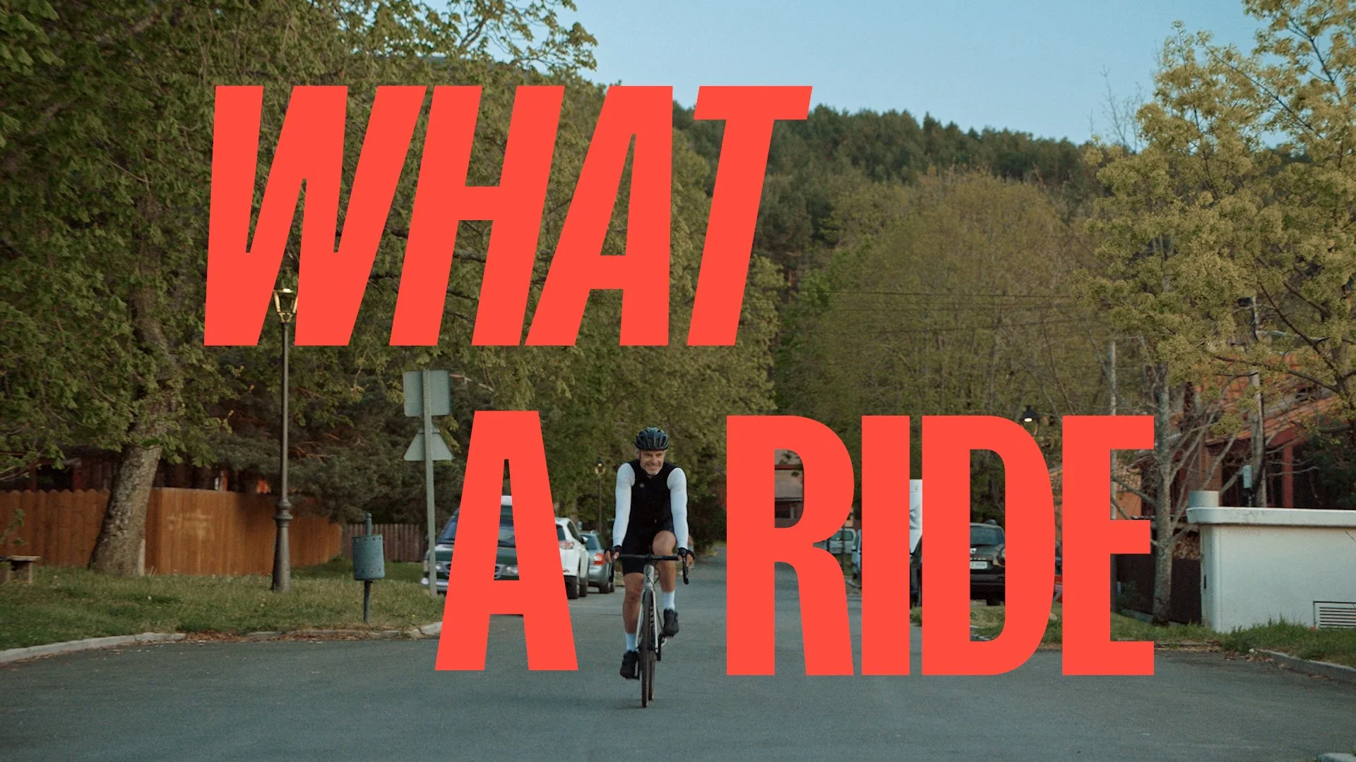 What a ride