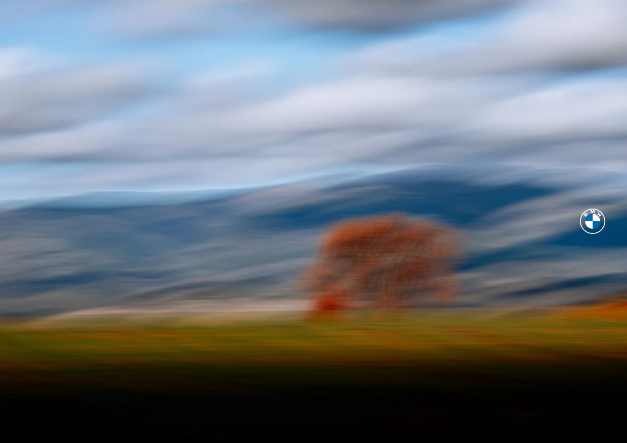 20260115_MovingLandscapes_6.jpg