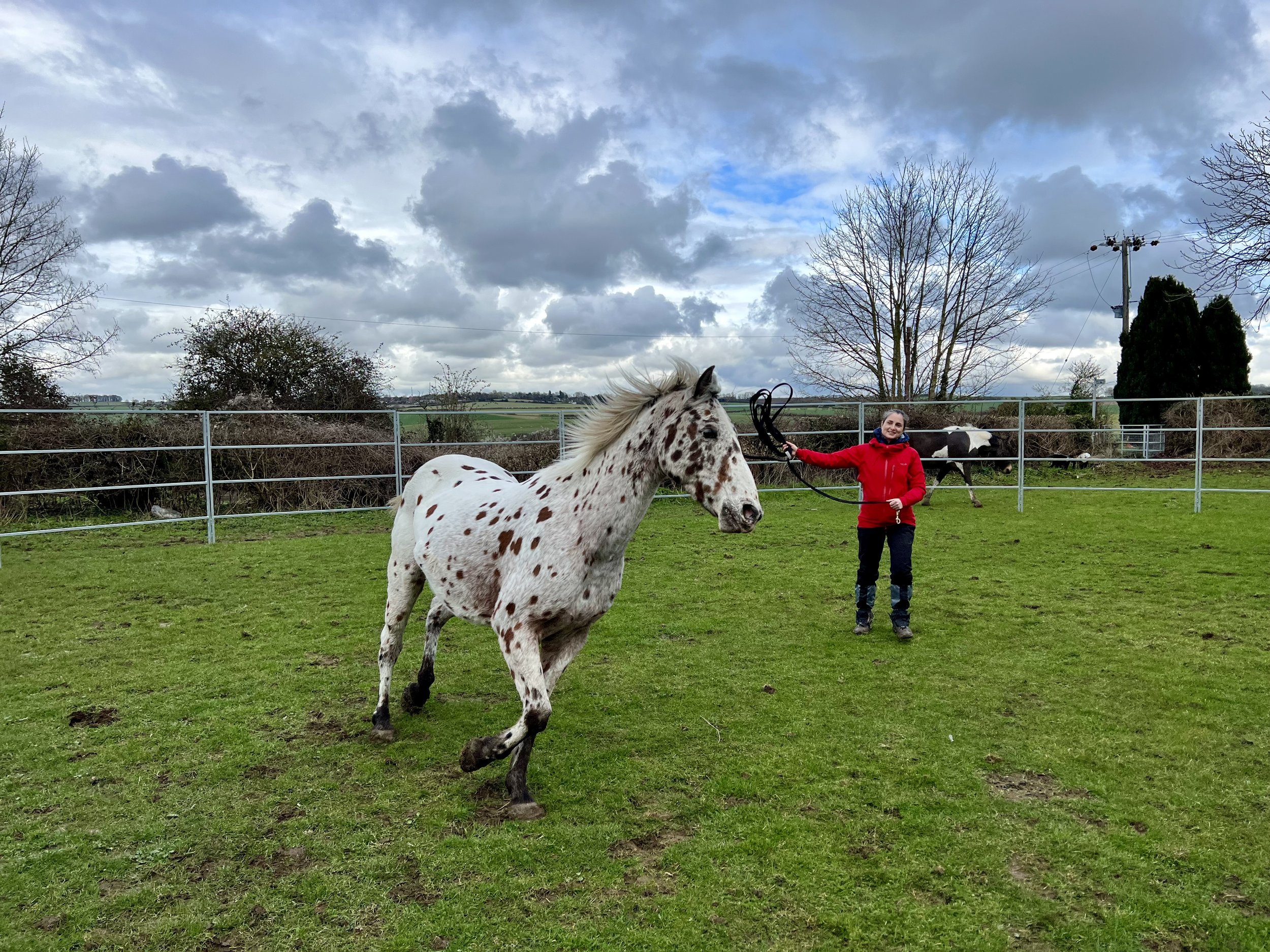 The transformative experience of Equus Coaching: Here’s what to expect