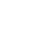 ford.png