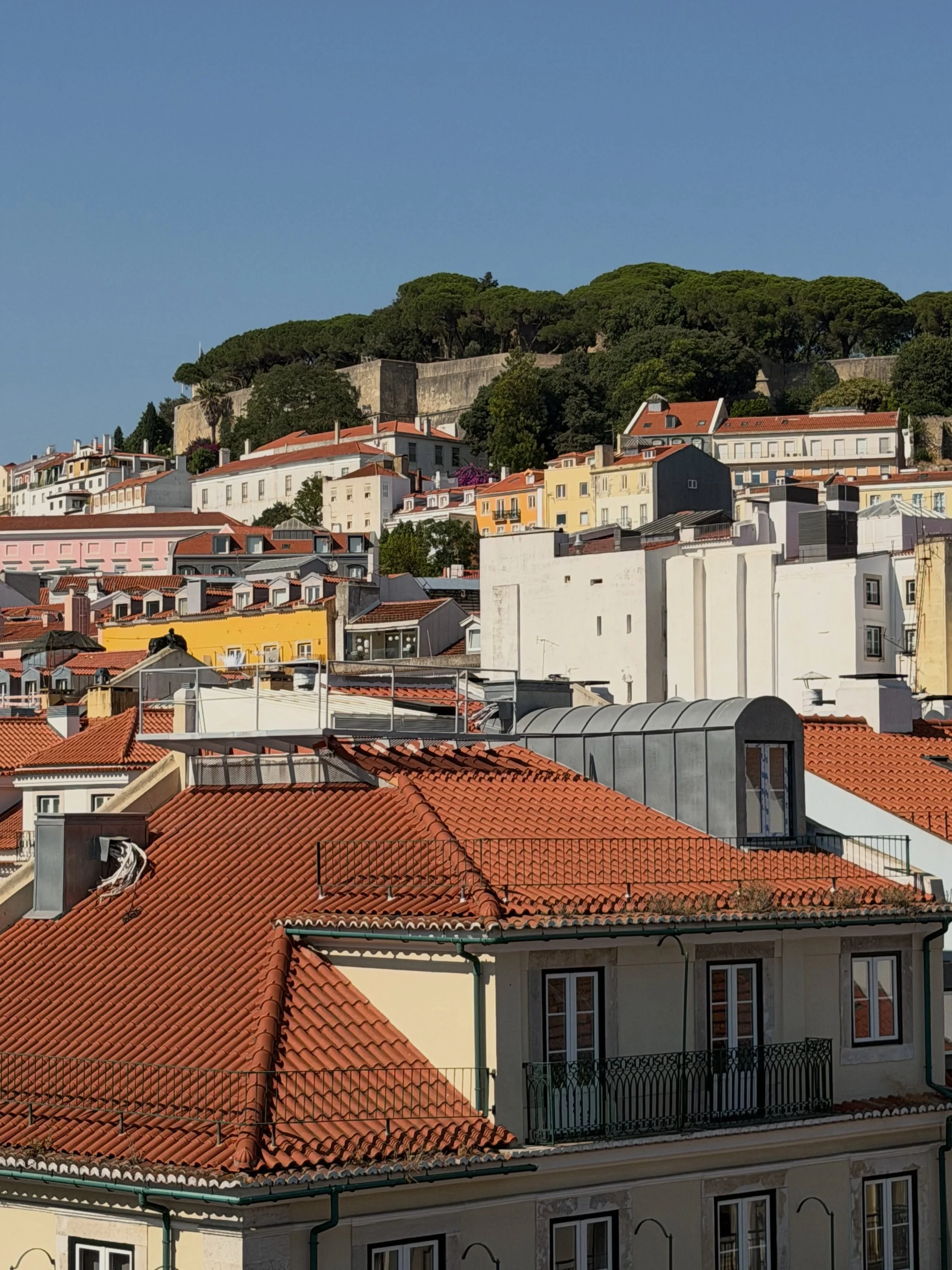 Obrigada, Lisboa! What a beautiful two weeks in one of the most vibrant cities I&rsquo;ve ever visited. Thank you @disquietilp for having me &amp; thank you Portugal for all of it.

Spot the bougainvillea in this sea of buildings / non-fiction writer