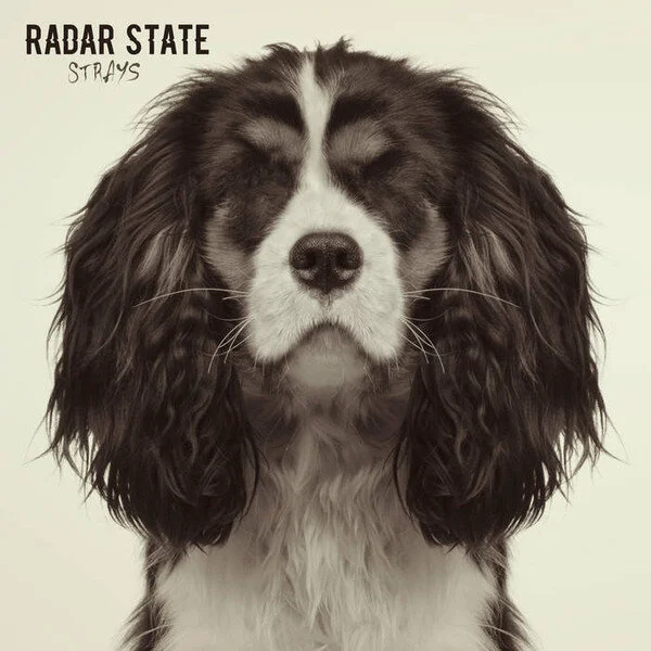 Radar State.jpg