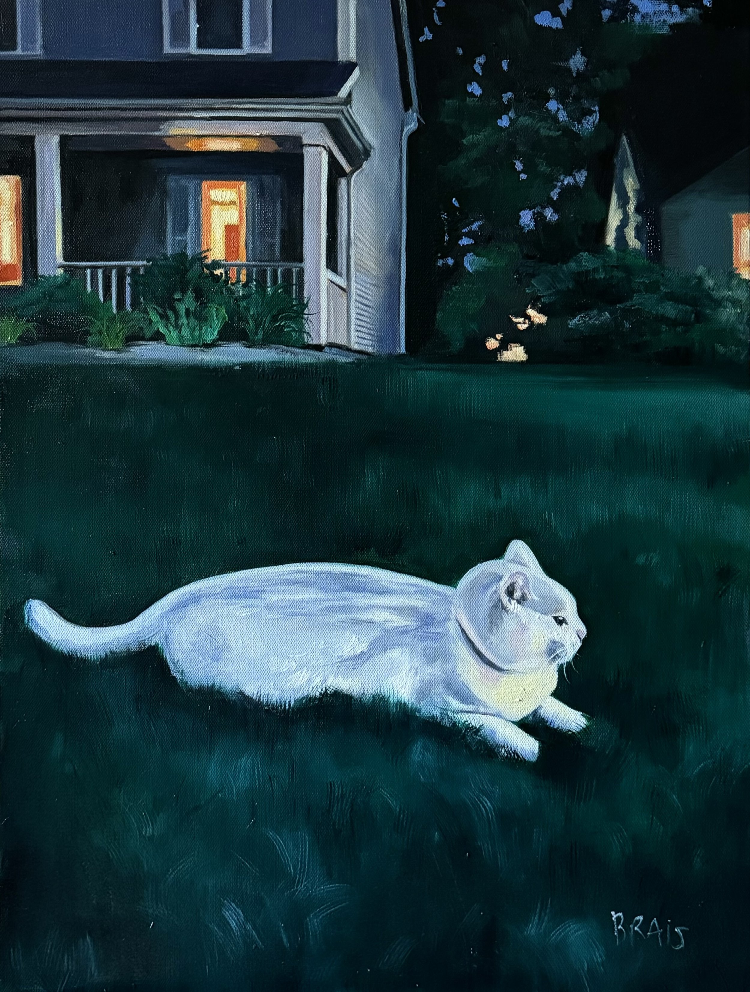 Luna's Evening Watch