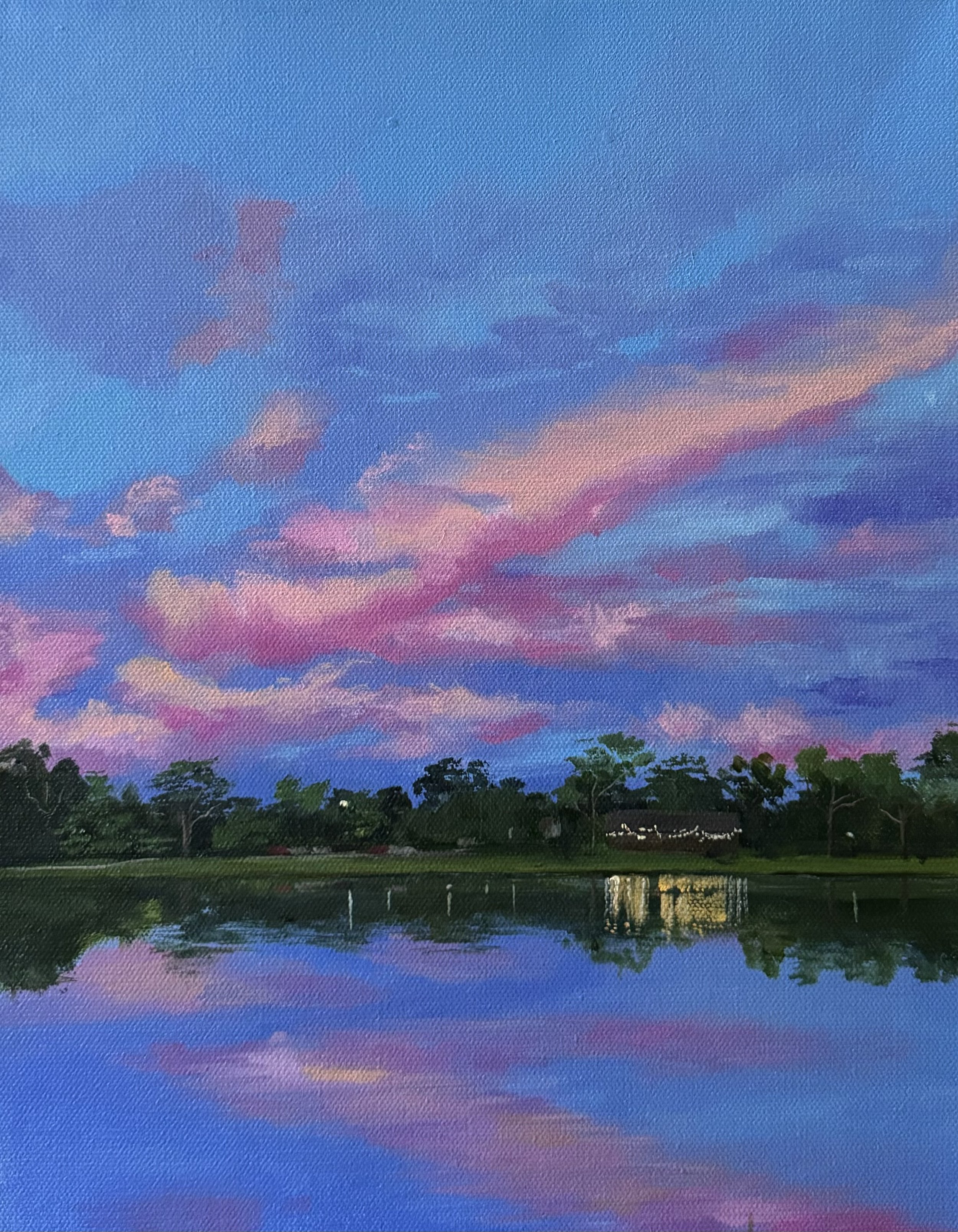 Pink Sunset in May