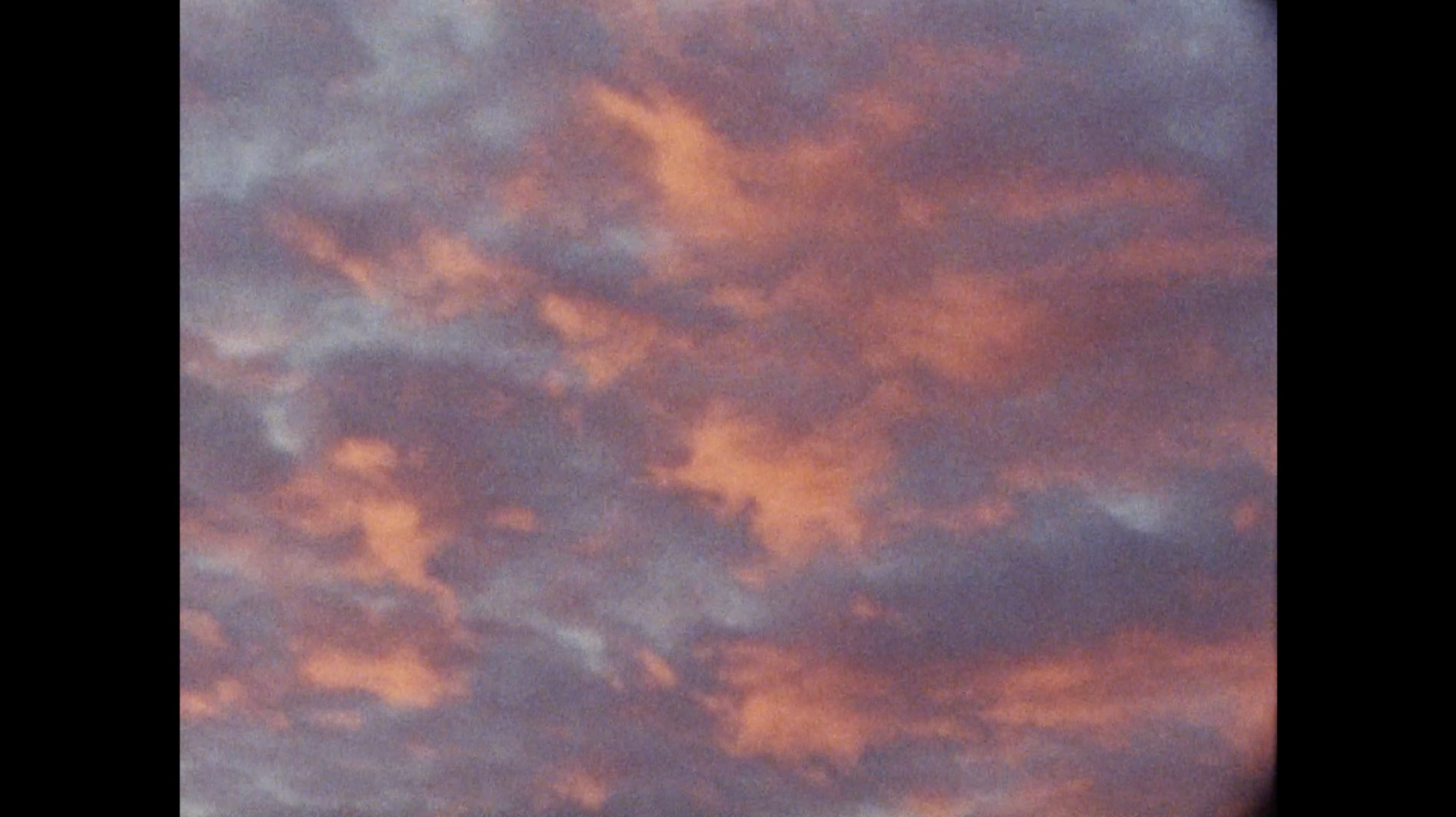 Screen Shot 2020-10-09 at 12.56.04 AM.png